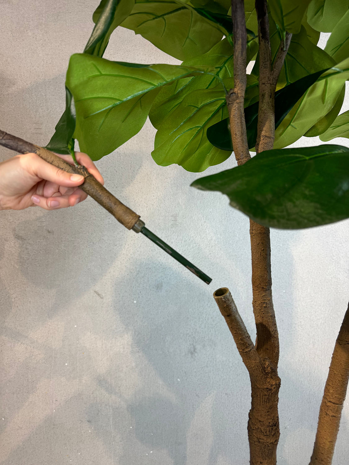 Kunstpflanze mit Topf Ficus Lyrata 240 cm mit Royal Bodengefäß