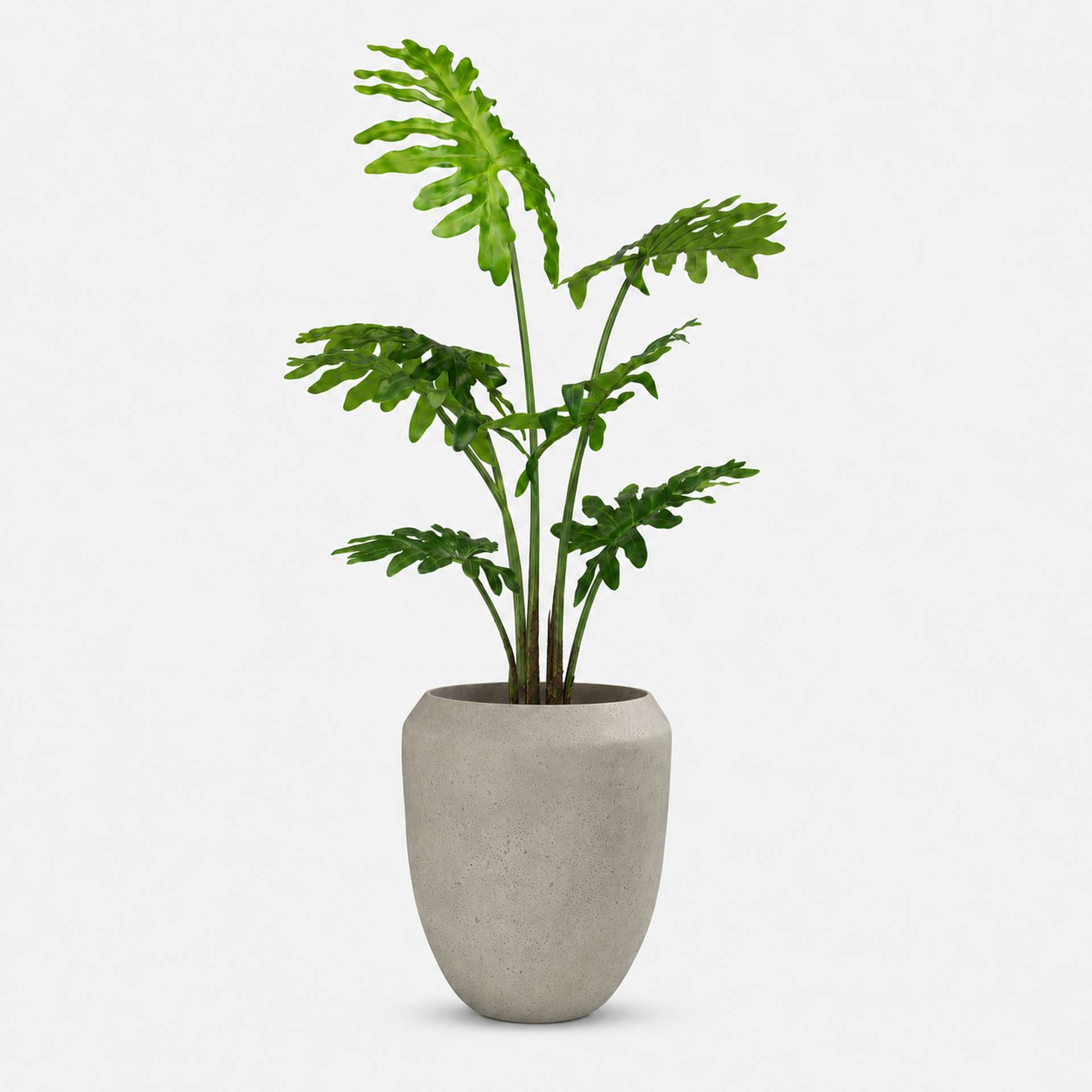 Kunstpflanze mit Topf Philodendron 85 cm mit Cigar Bodengefäß Kunstpflanze mit Topf Philodendron 85 cm mit Cigar Bodengefäß