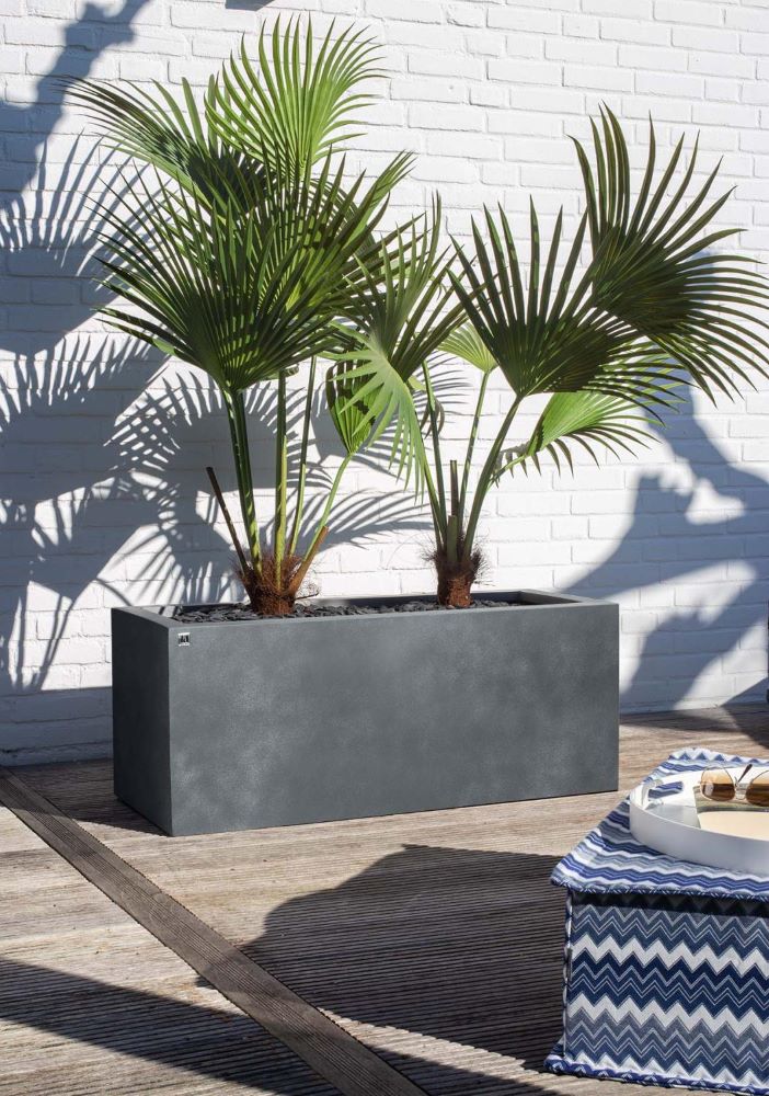 Division Lite Pflanzkasten mit Rollenaufnahme