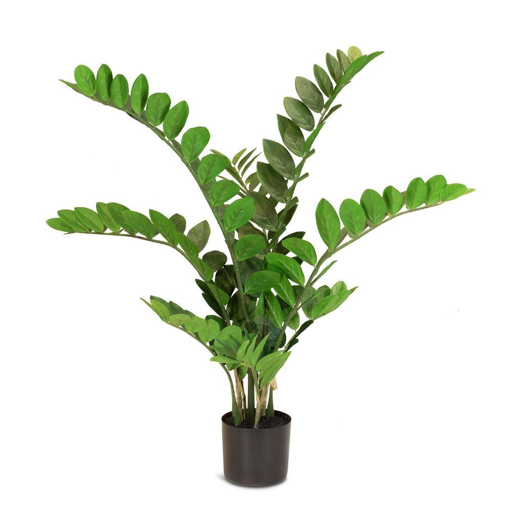Glücksfeder Zamioculcas Kunstpflanze grün 90 cm Glücksfeder Zamioculcas Kunstpflanze grün 90 cm