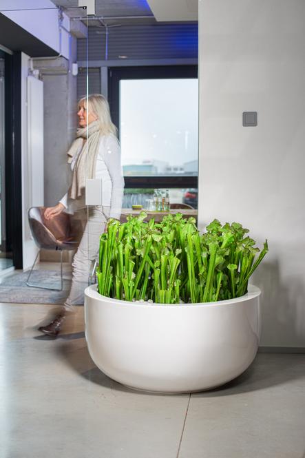 Premium Bodengefäß XL aus Kunststoff Premium Bodengefäß XL aus Kunststoff