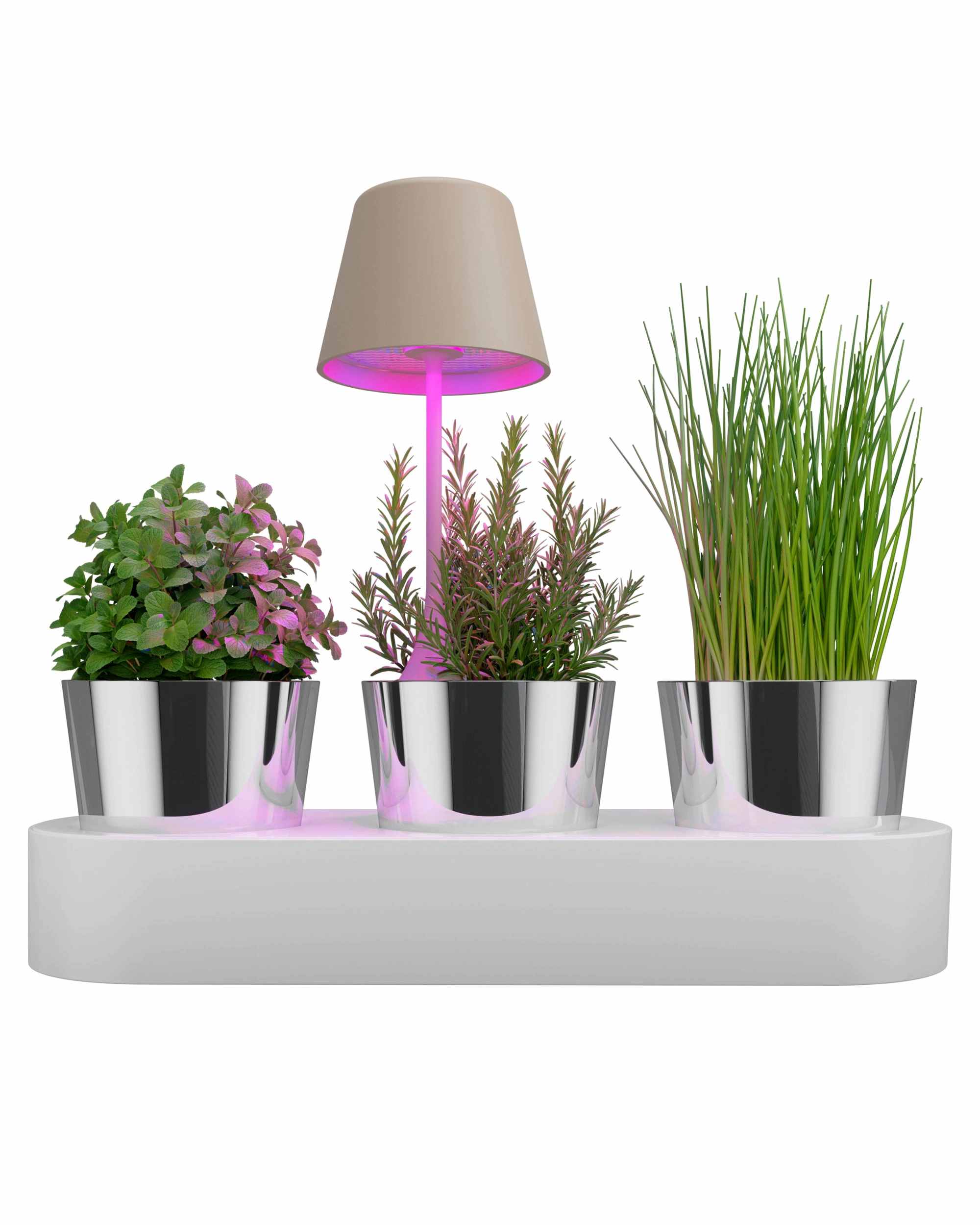 PEEKY Akku-Tischleute - Plant-Growing-Light sand PEEKY Akku-Tischleute - Plant-Growing-Light sand