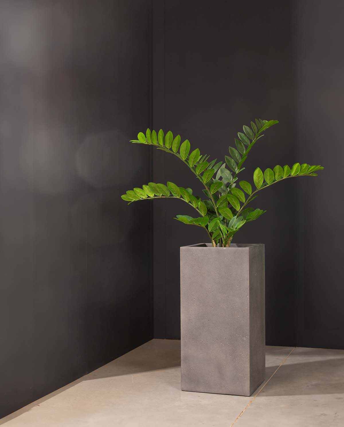 Kunstpflanze mit Topf Glücksfeder 100 cm mit Polystone Pflanzsäule Grau