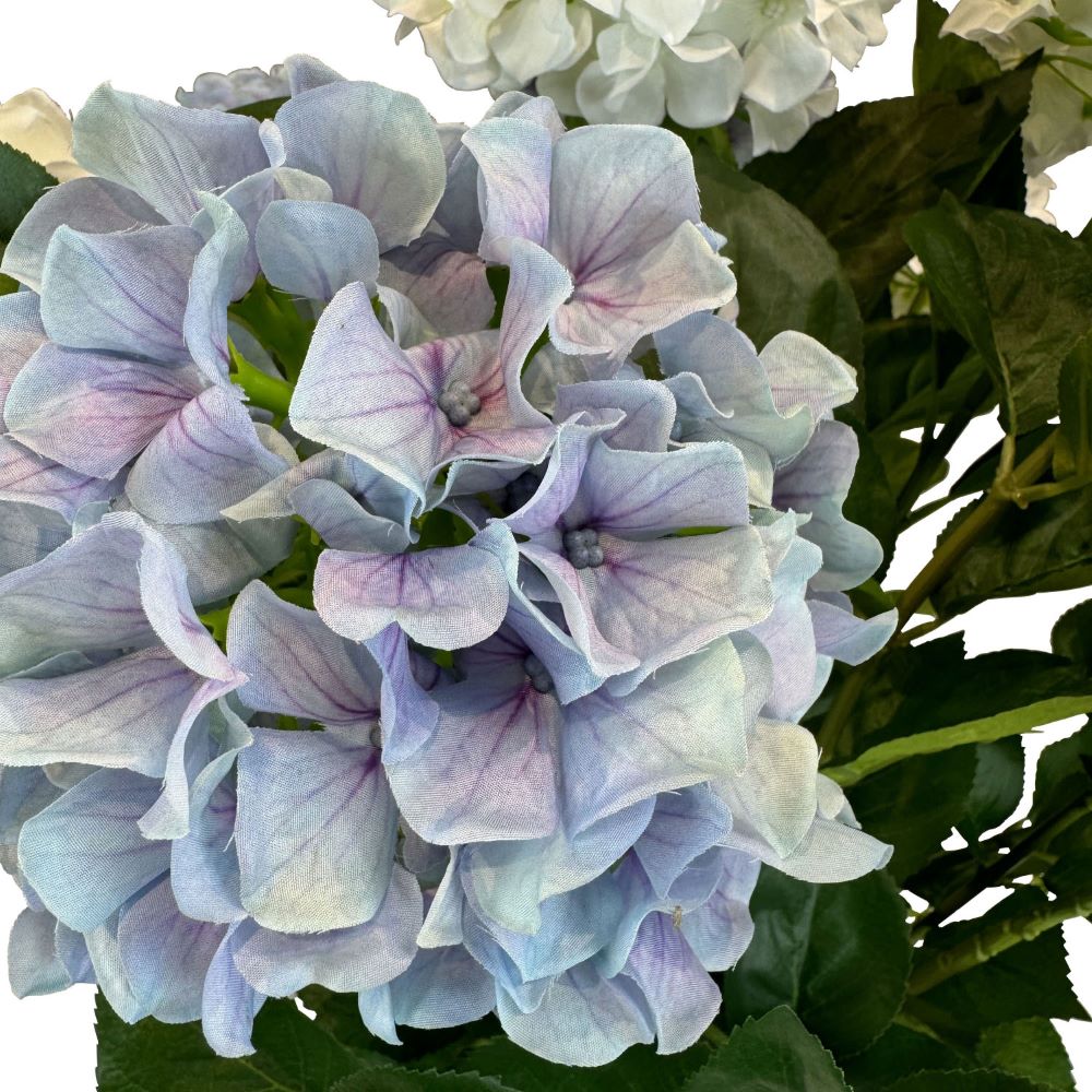 Hortensie - Hydrangea Kunstpflanze, 10 Blüten, Höhe 73 cm, weiß-blau Hortensie - Hydrangea Kunstpflanze, 10 Blüten, Höhe 73 cm, weiß-blau