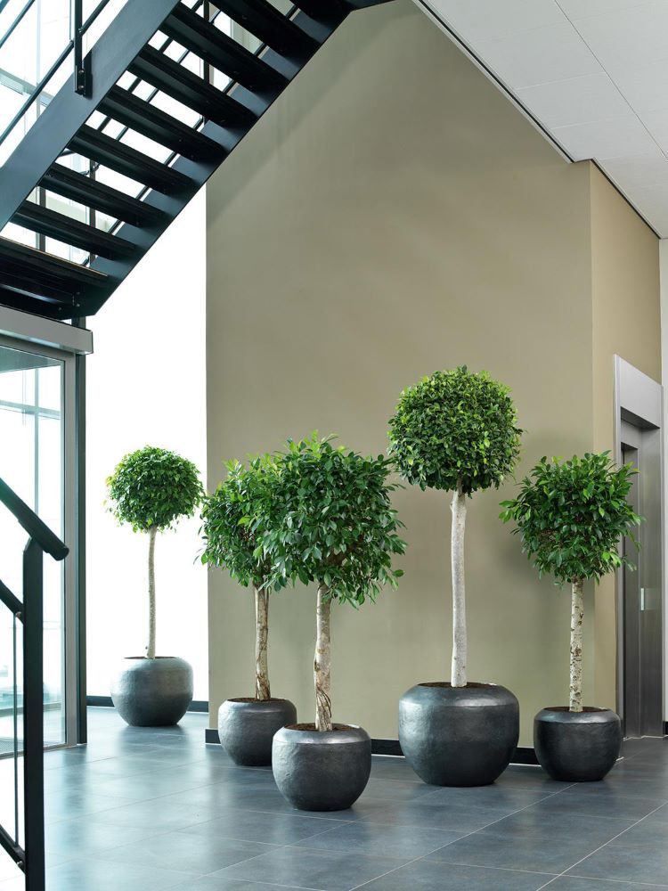 Loft Bodengefäß für hochgewachsene Pflanzen Loft Bodengefäß für hochgewachsene Pflanzen