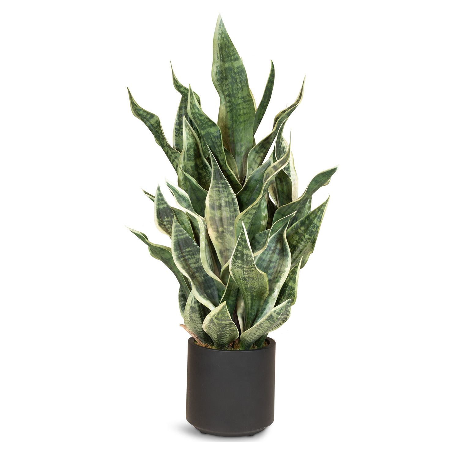 Sansevieria Bogenhanf Kunstpflanze, Höhe 85 cm Sansevieria Bogenhanf Kunstpflanze, Höhe 85 cm