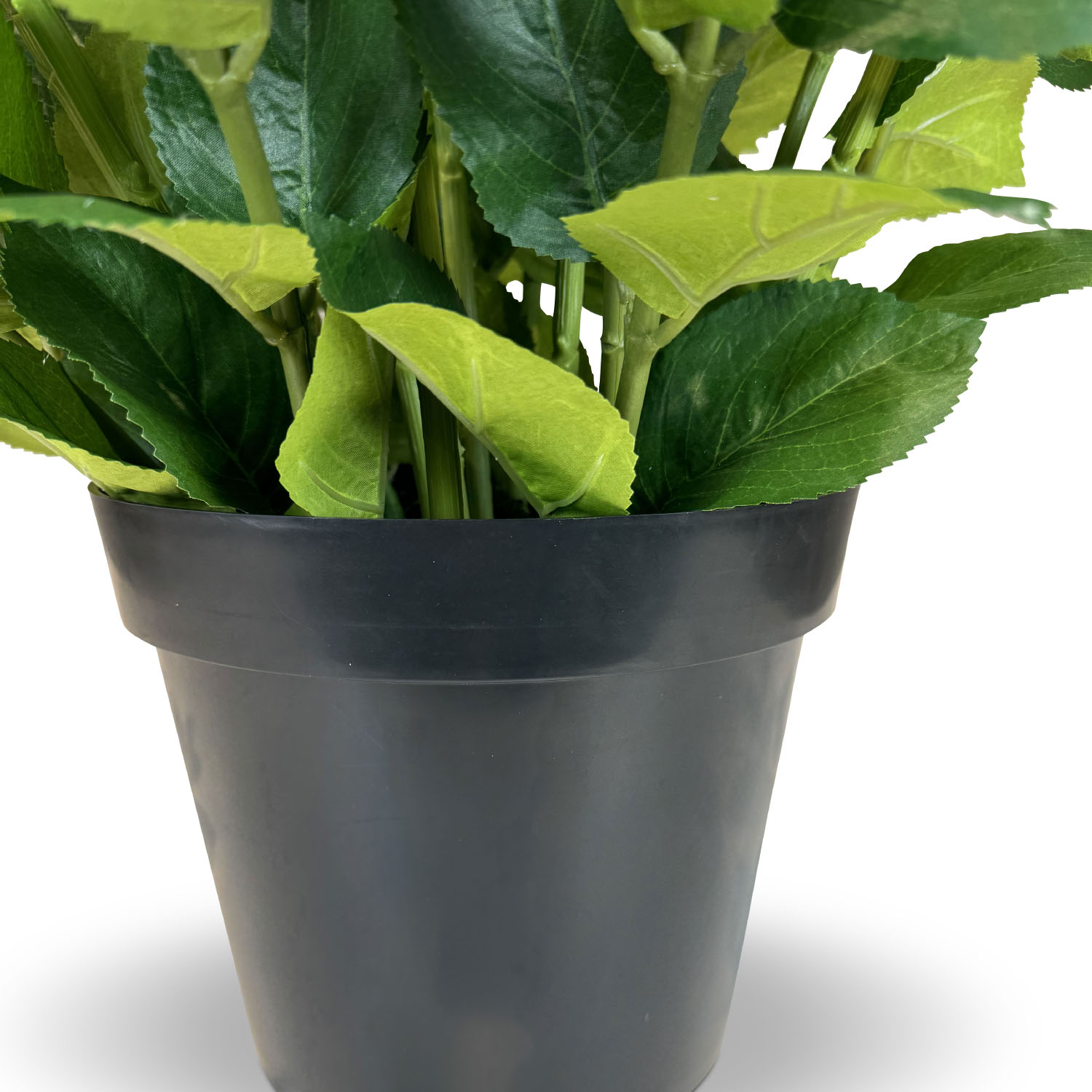 Hortensie - Hydrangea Kunstpflanze, 10 Blüten, Höhe 73 cm, weiß-blau