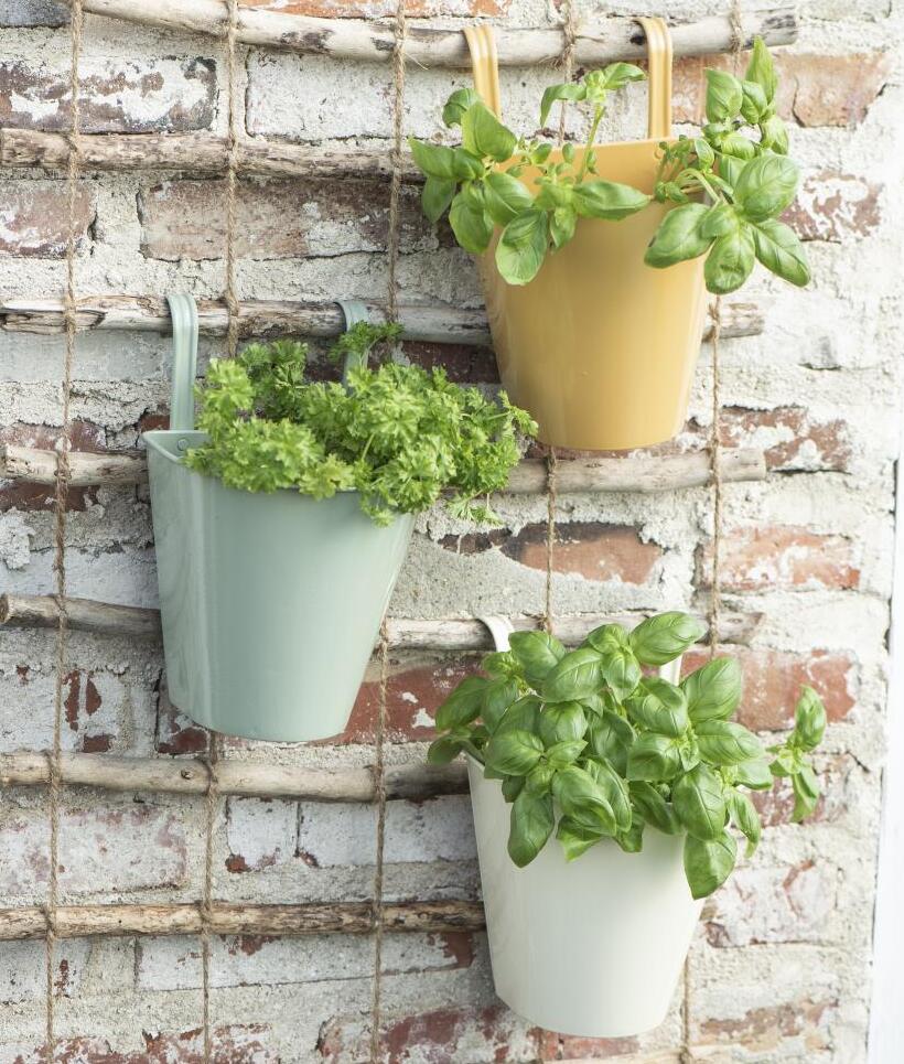 Balkontopf zum Hängen