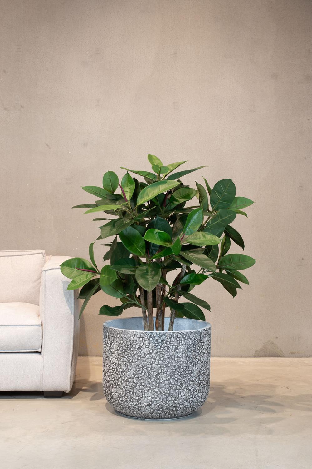 Ficus Elastica Kunstpflanze Ficus Elastica Kunstpflanze