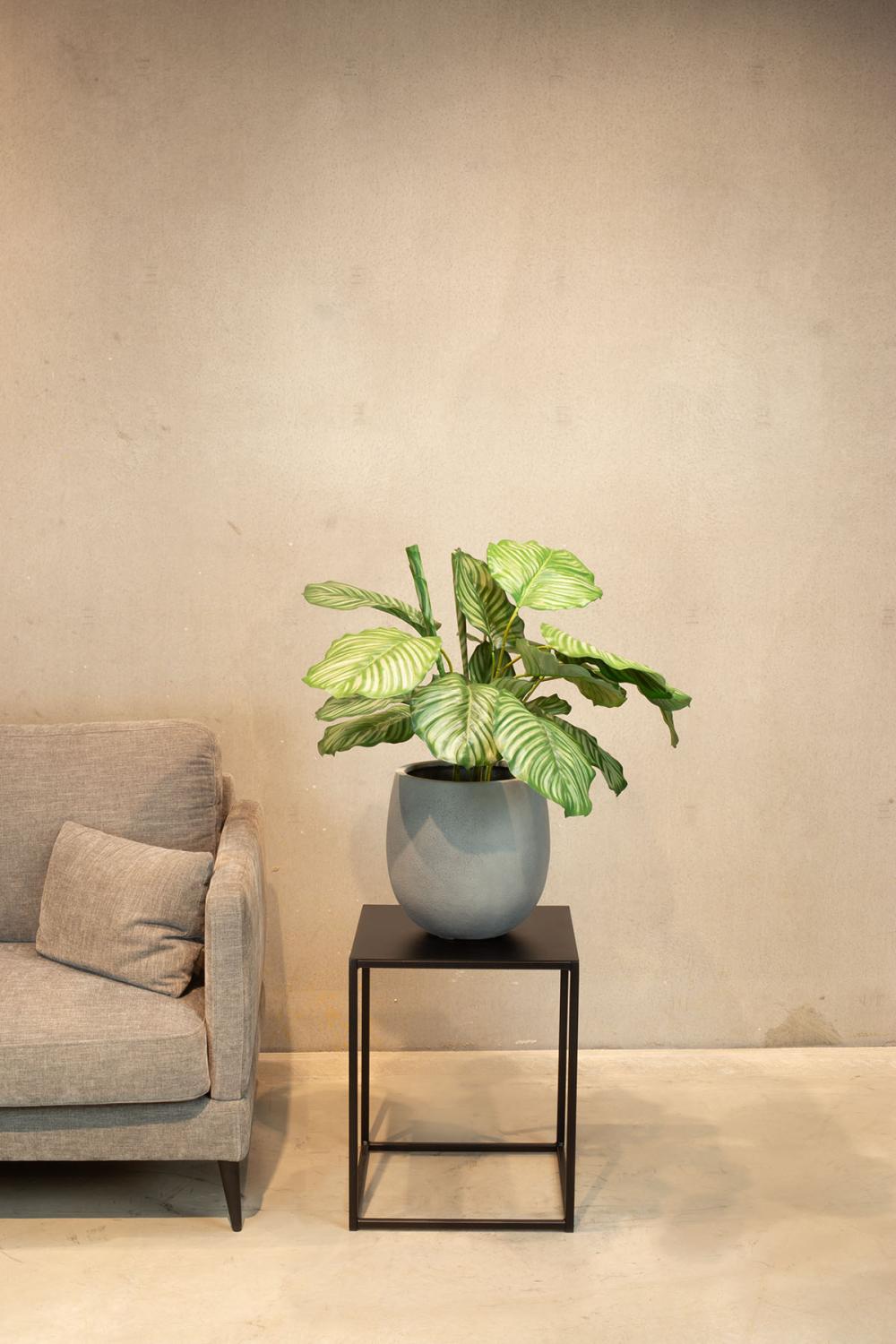 Hochwertige Calathea - Korbmarante Kunstpflanze