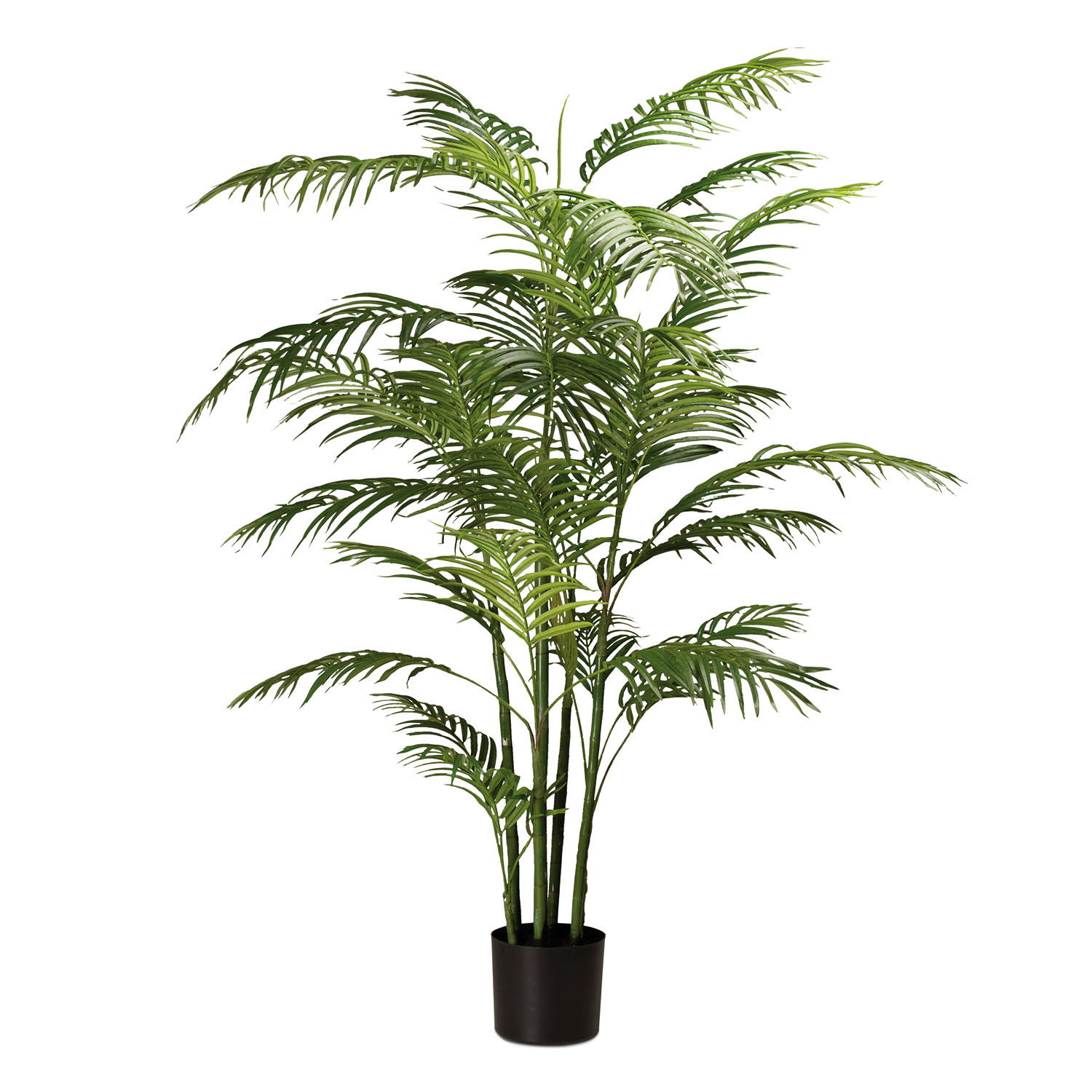 Goldfruchtpalme - Areca Palme künstliche Zimmerpflanze 150 cm Goldfruchtpalme - Areca Palme künstliche Zimmerpflanze 150 cm