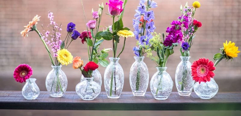 Dutz Collection Vasen Glas Viele hochwertige Glasvasen vom Hersteller Dutz Collection, mit bunten Blumen darin