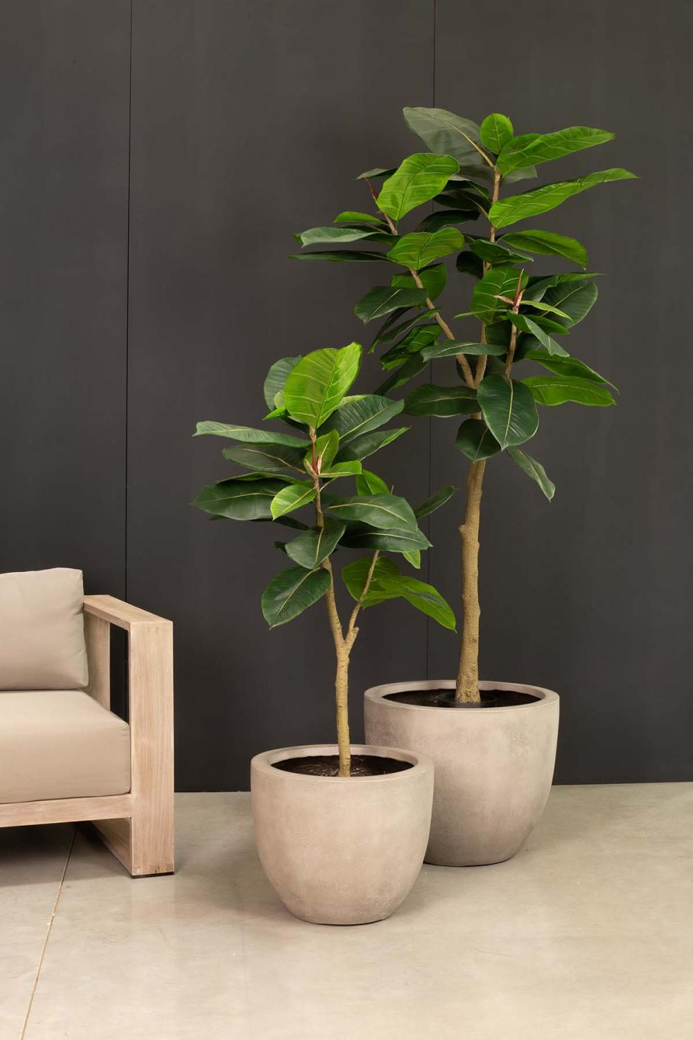 Ficus Elastica - künstlicher Gummibaum Ficus Elastica - künstlicher Gummibaum