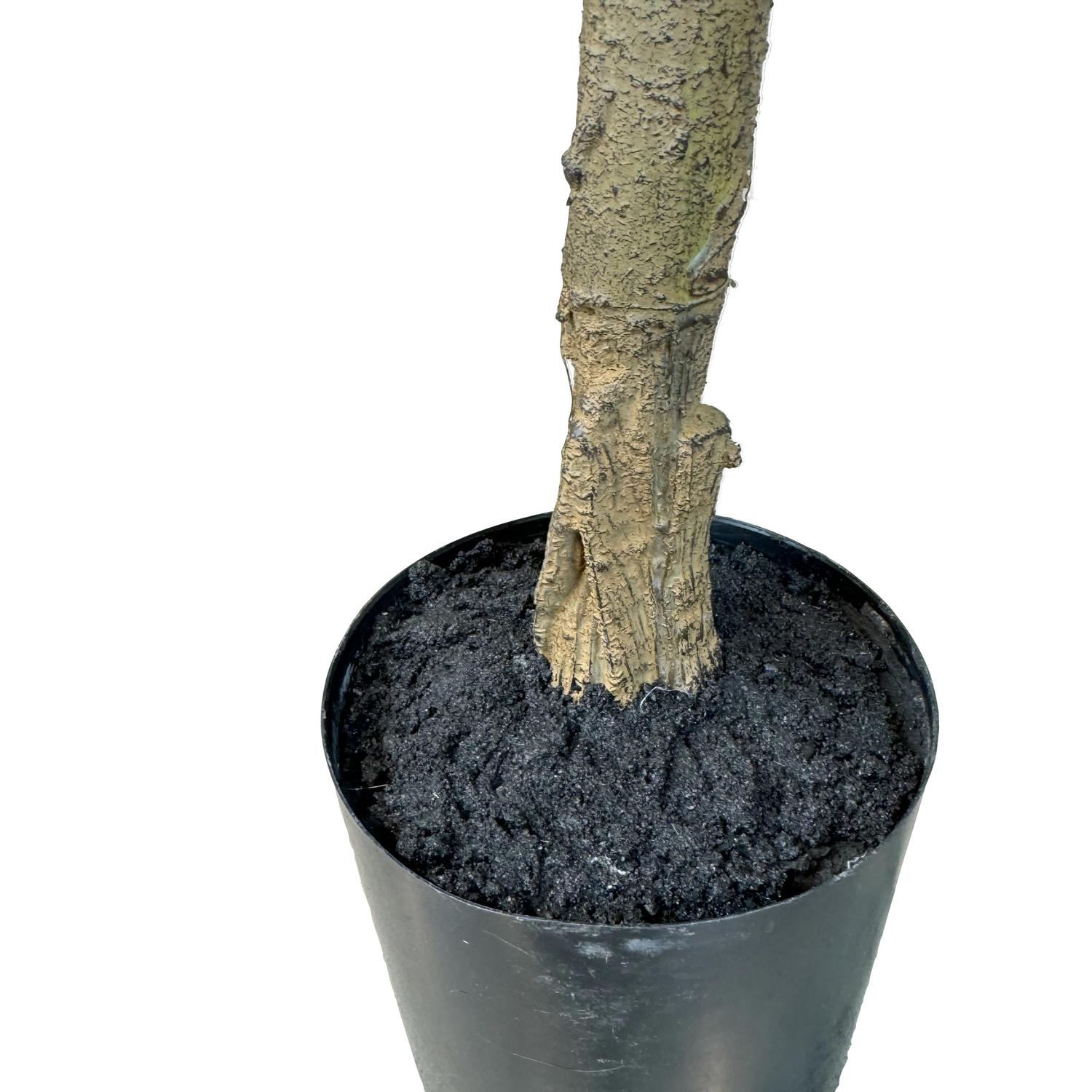 Kunstpflanze mit Topf Ficus Lyrata mit Roccastone Classic 180cm Natur Beton