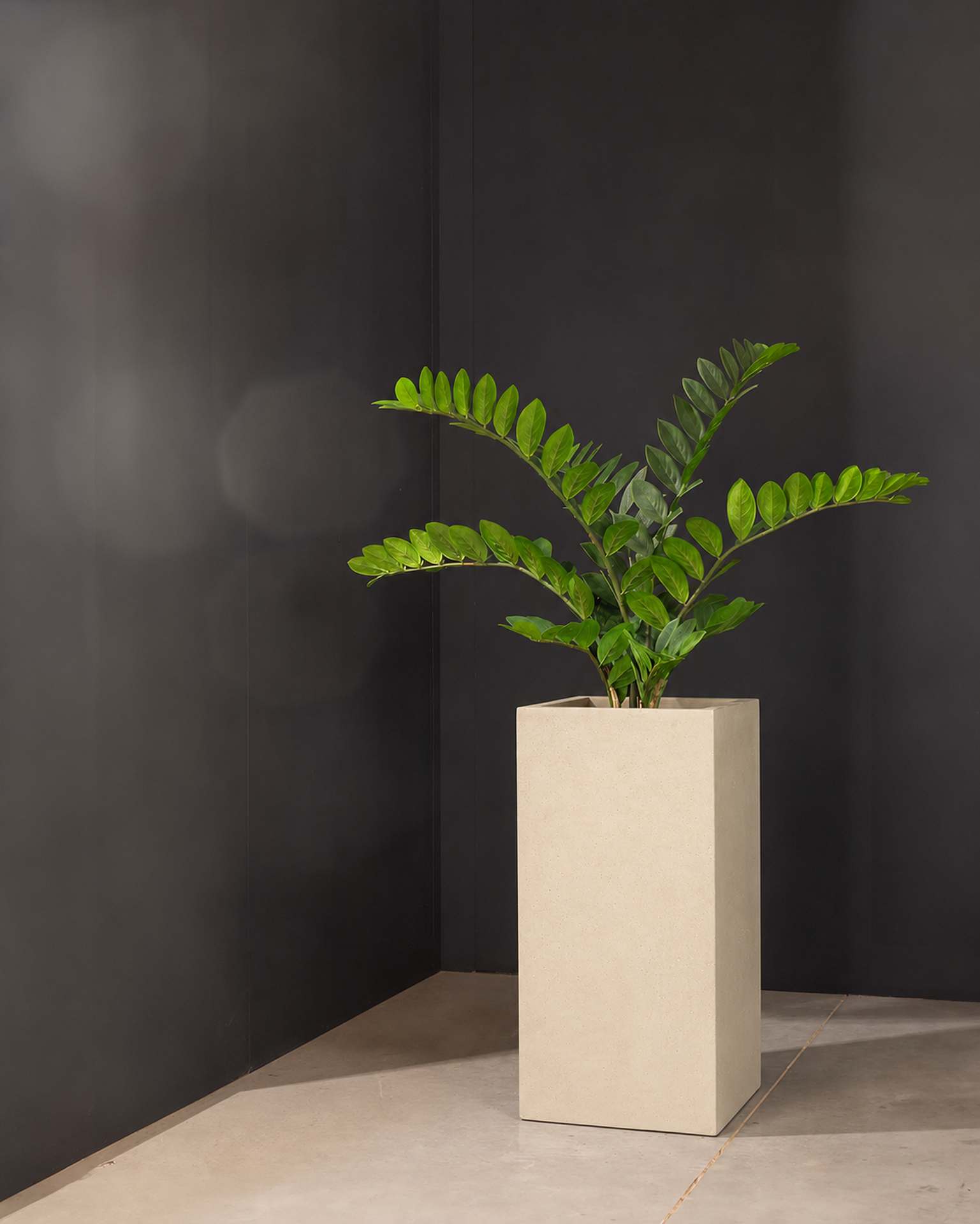 Kunstpflanze mit Topf Glücksfeder 100 cm mit Polystone Pflanzsäule Creme