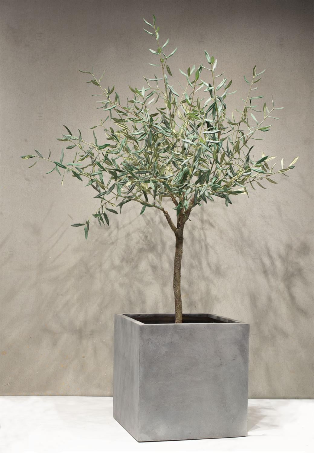 Polystone Pflanzwürfel - glatte Oberfläche