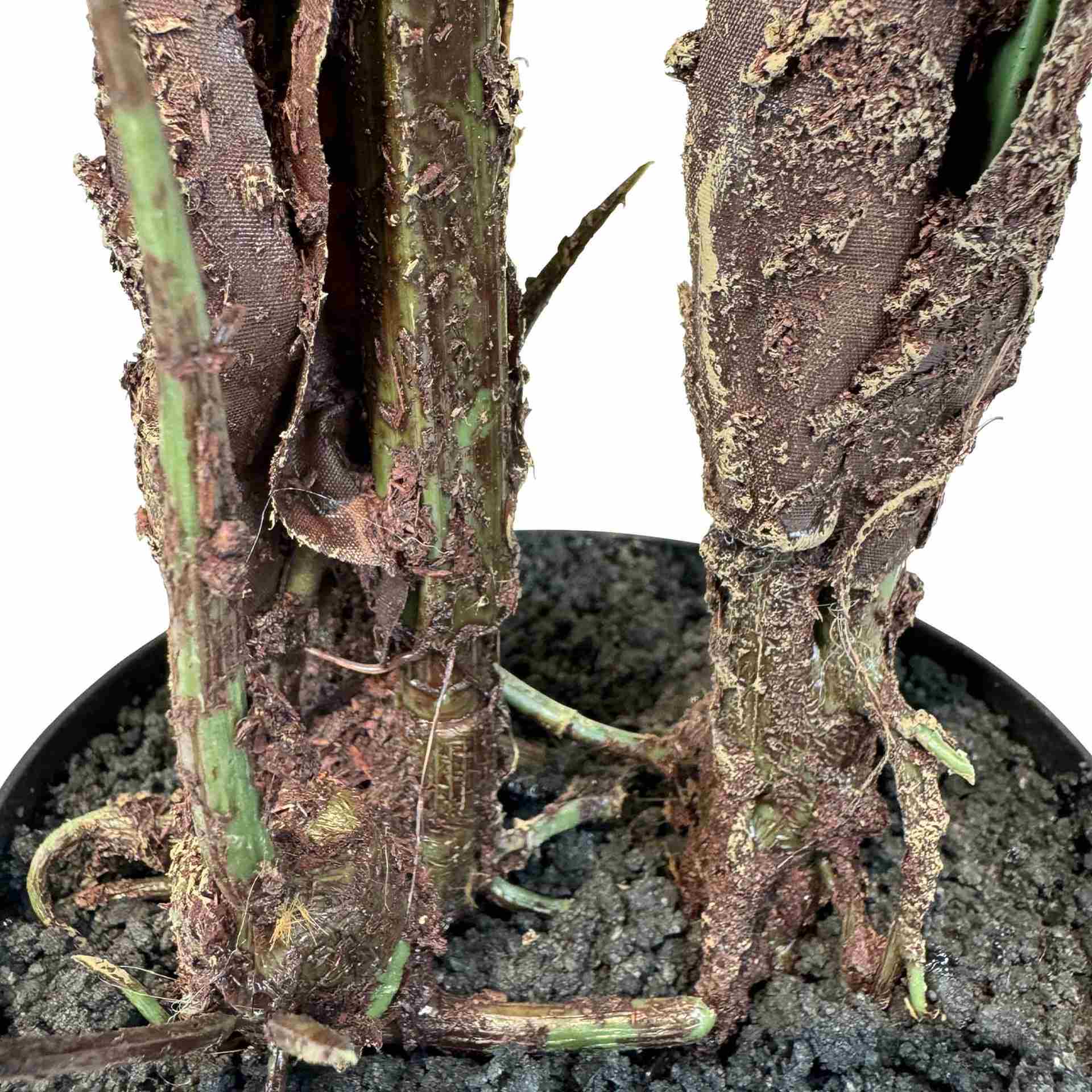 Kunstpflanze mit Topf Philodendron 85 cm mit Cigar Bodengefäß