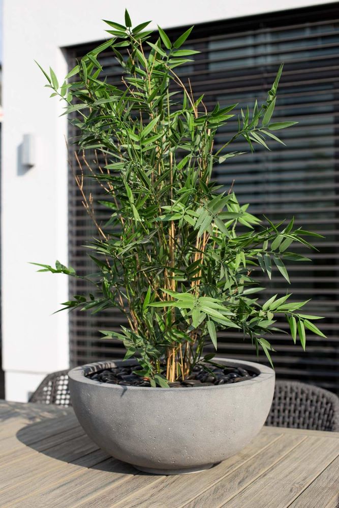 Polystone Ego Plus runde Pflanzschale Polystone Ego Plus runde Pflanzschale