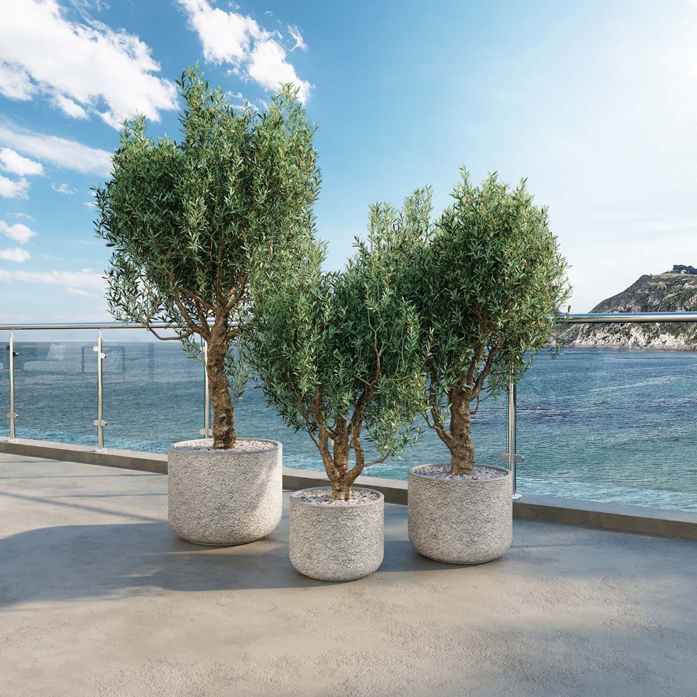 Petal Pflanzgefäß mit Blütenblatt-Struktur Petal Pflanzgefäß mit Blütenblatt-Struktur