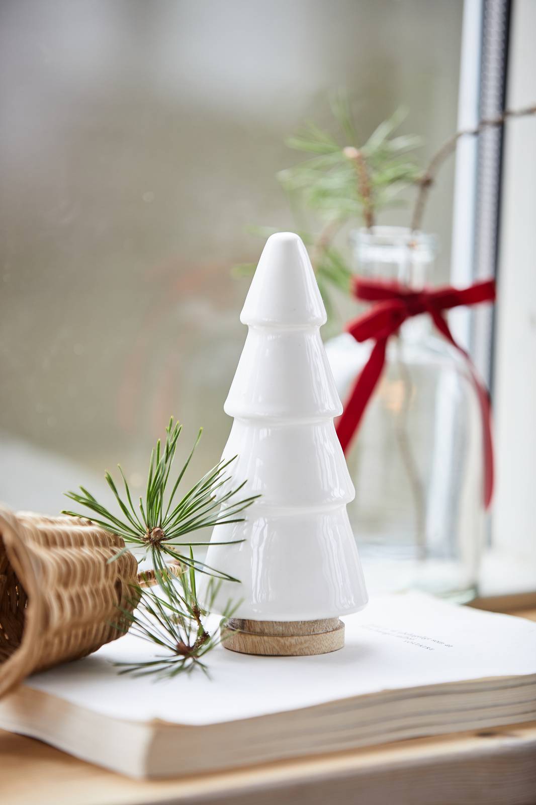 Tannenbaum stehend Tannenbaum stehend