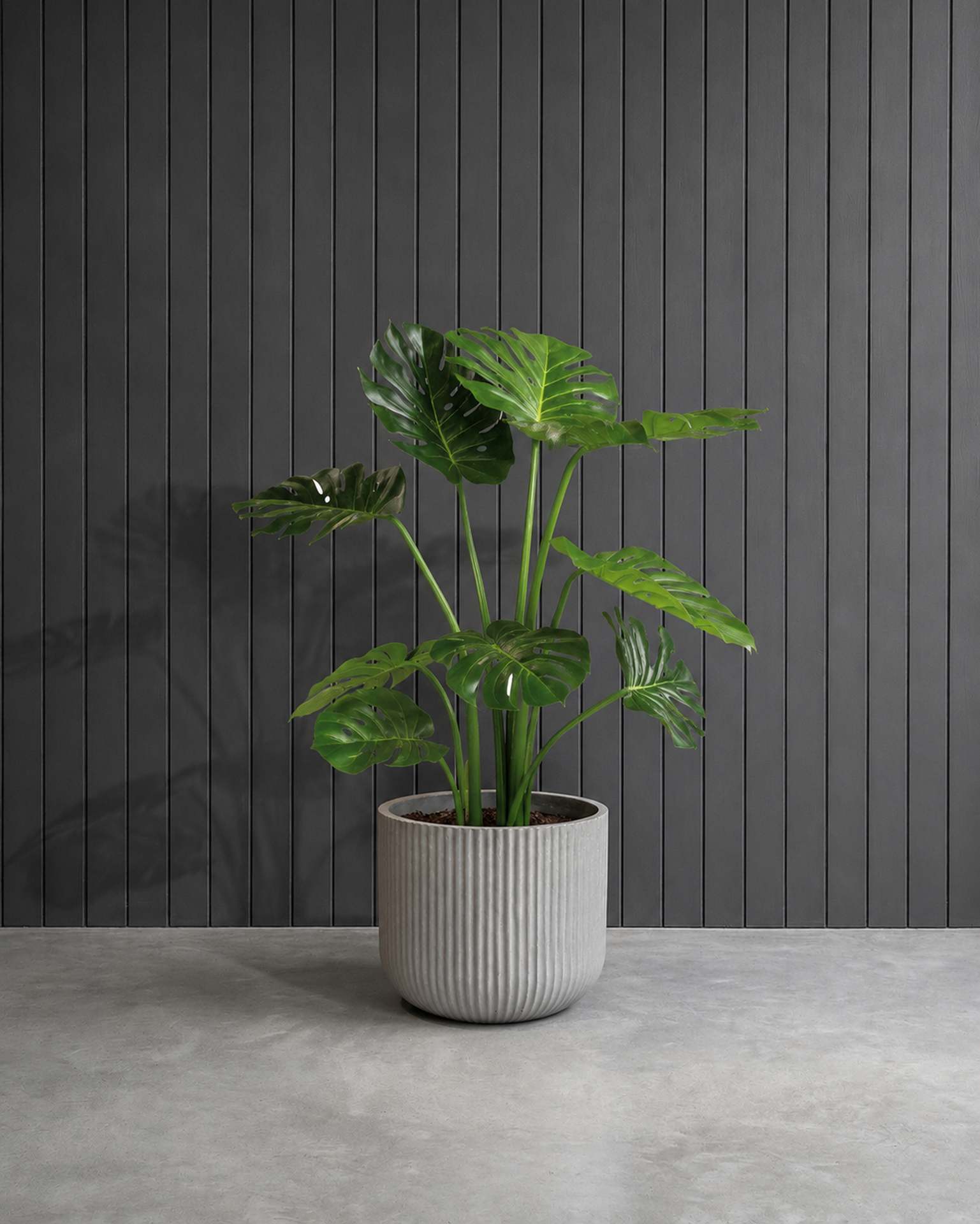 Kunstpflanze mit Topf Monstera Deliciosa mit Linea Gefäß 90 cm Grau