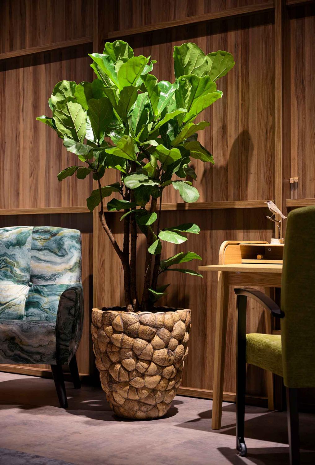 Coconut braunes Pflanzgefäß Coconut braunes Pflanzgefäß