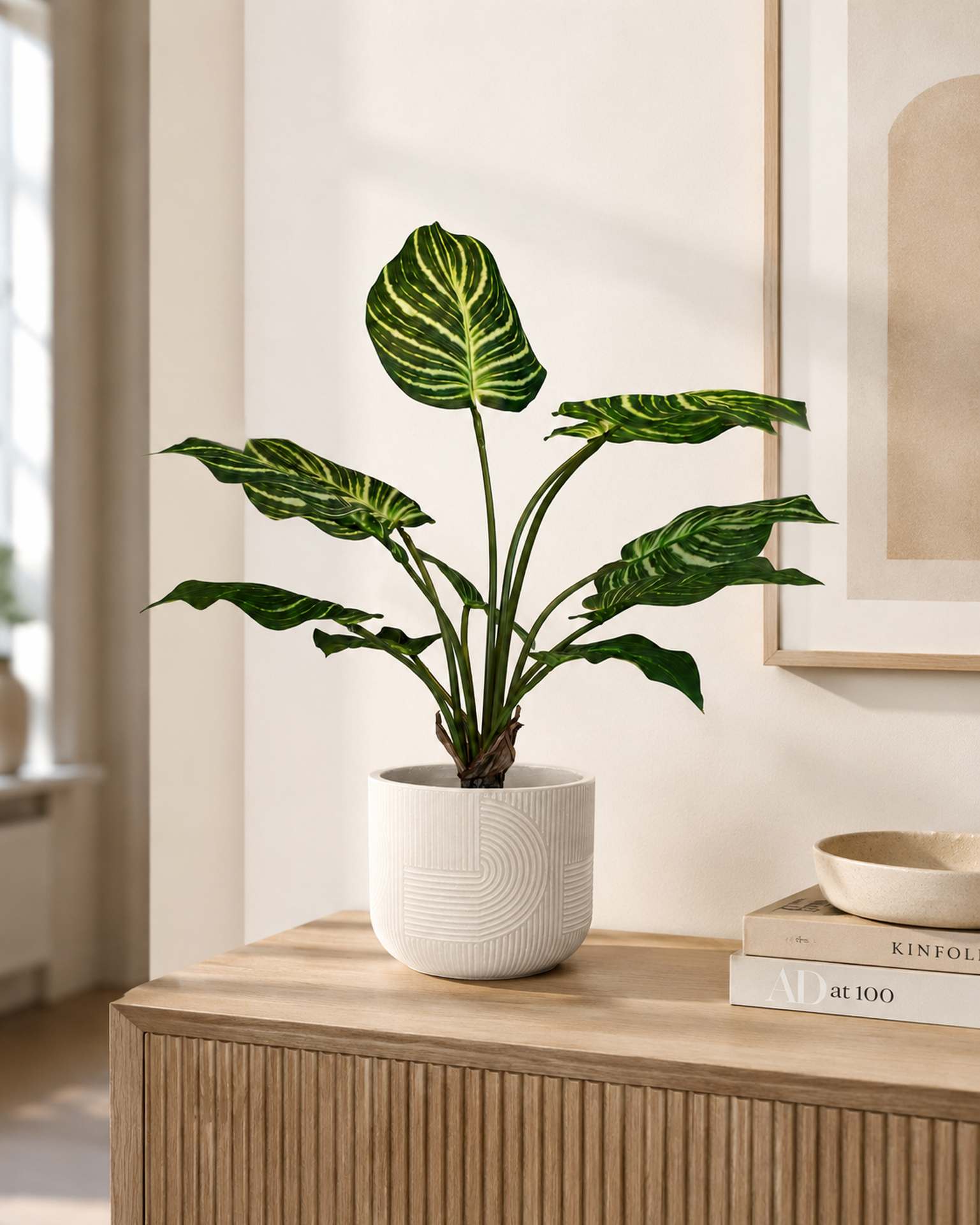 Kunstpflanze mit Topf Calathea 65 cm mit Solco Topf Kunstpflanze mit Topf Calathea 65 cm mit Solco Topf Anthrazit