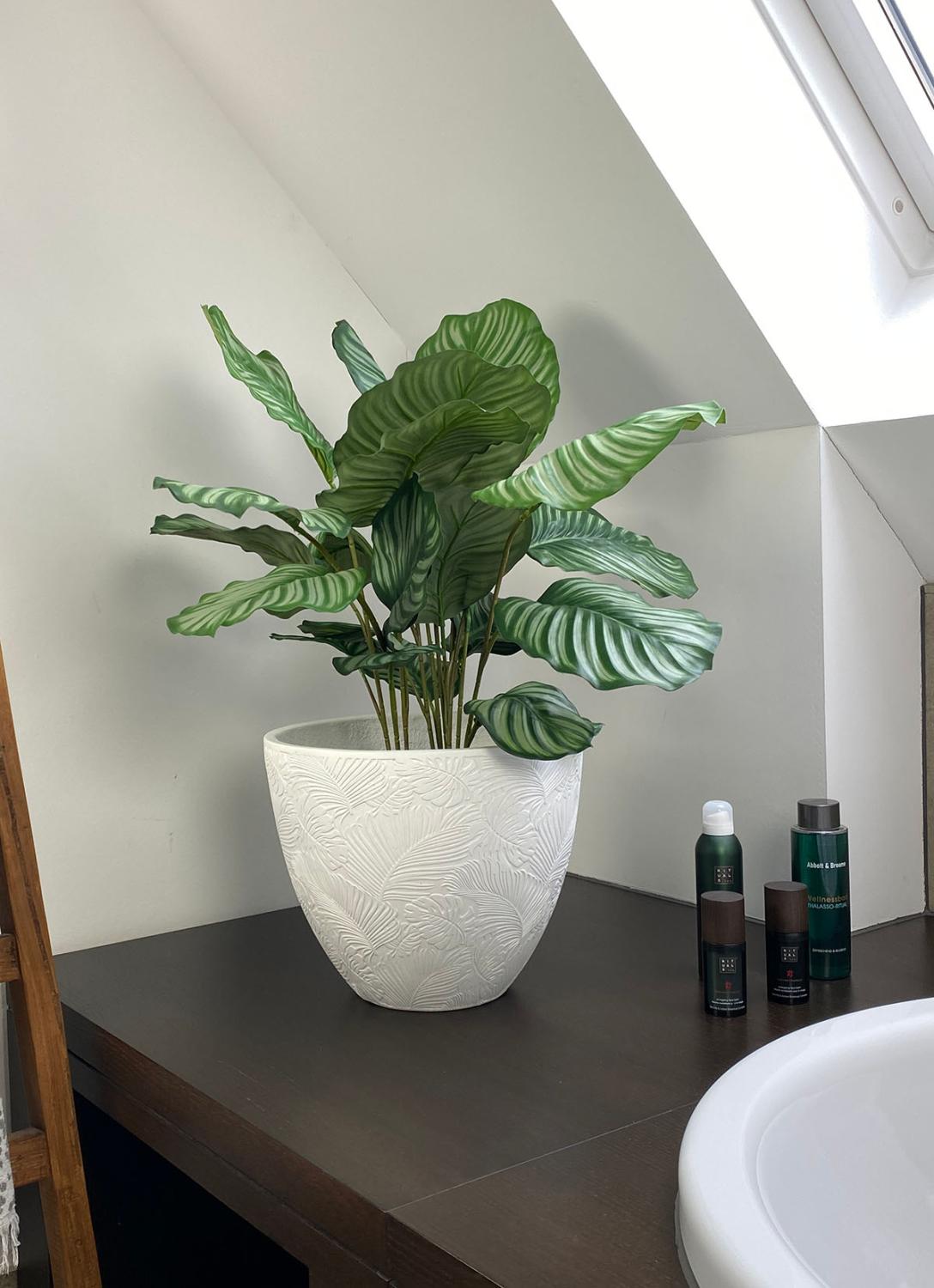 Fleur Ami Kunstpflanze Calathea Kunstpflanze Calathea vom Hersteller Fleur Ami in einem weißen Übertopf