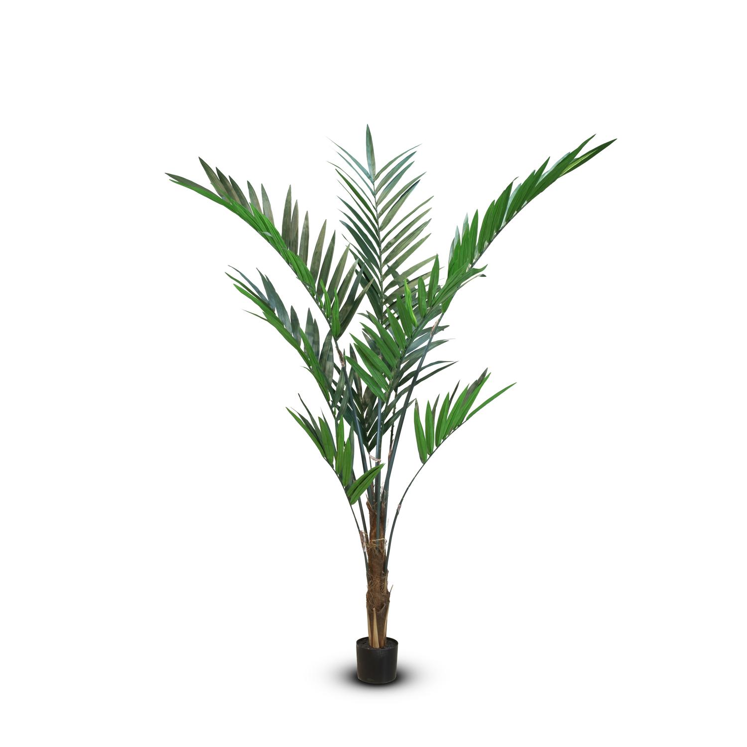 Forstersche Kentia Kunstpflanze 180 cm Forstersche Kentia Kunstpflanze 180 cm