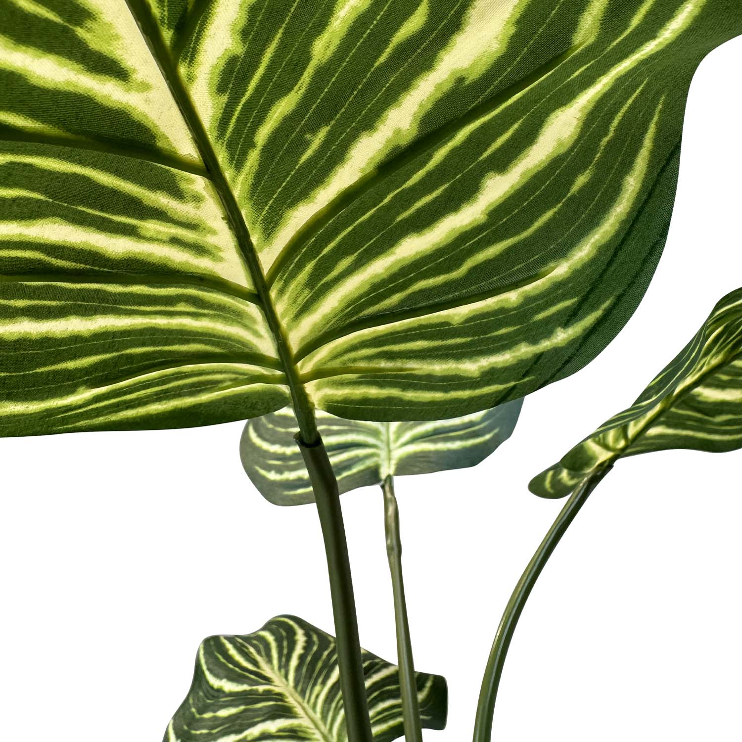 Kunstpflanze mit Topf Calathea 65 cm und Lemon Fusion Gefäß Kunstpflanze mit Topf Calathea 65 cm und Lemon Fusion Gefäß