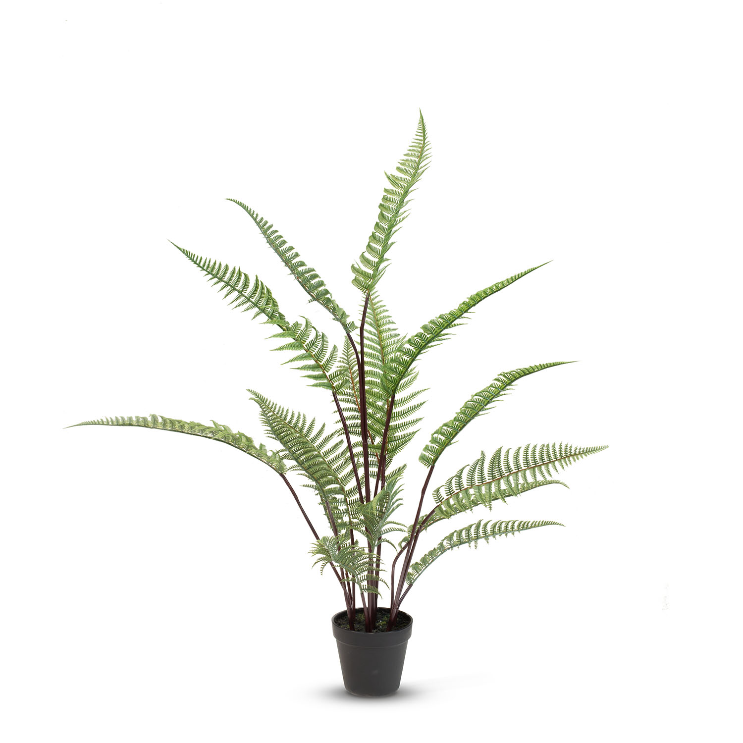 Schwertfarn - Nephrolepis exaltata Kunstpflanze, UV Stabil Schwertfarn - Nephrolepis exaltata Kunstpflanze, UV Stabil
