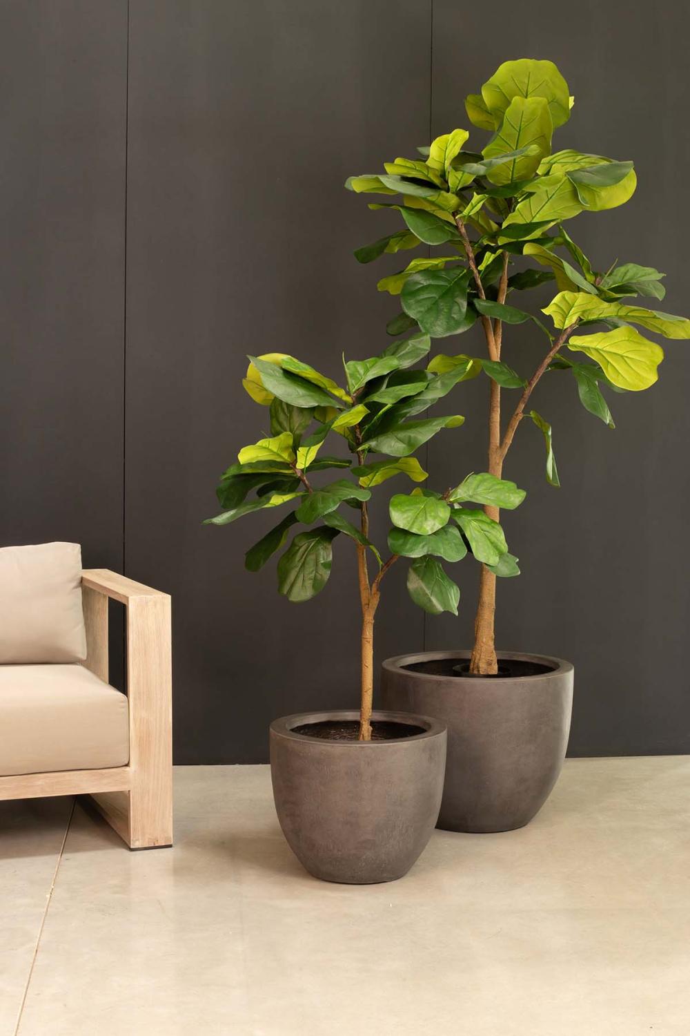 Kunstpflanze mit Topf Ficus Lyrata mit Roccastone Classic