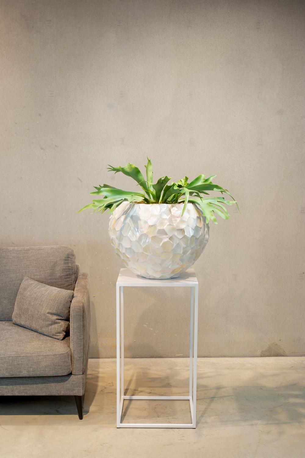 Geweihfarn - Platycerium Kunstpflanze Geweihfarn - Platycerium Kunstpflanze