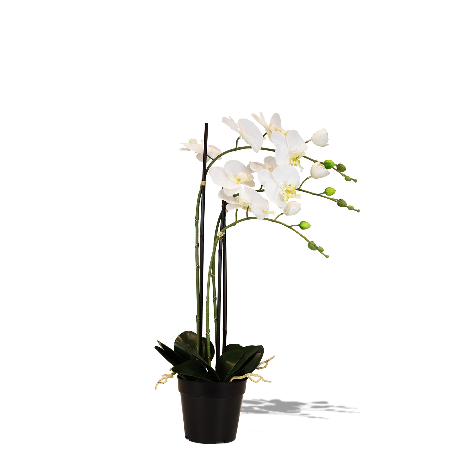 Künstliche Orchidee weiß 76 cm Künstliche Orchidee weiß 76 cm