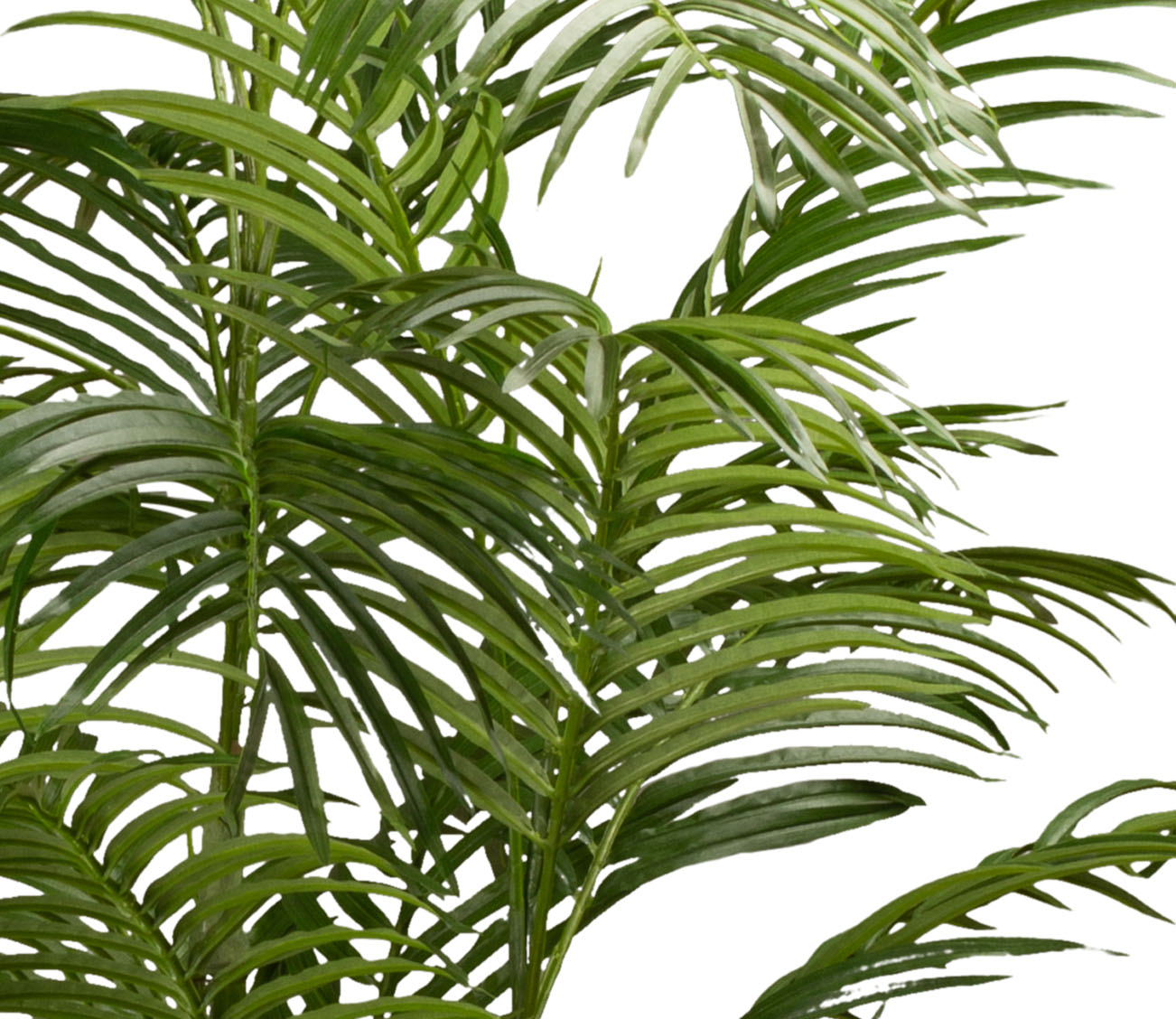 Goldfruchtpalme - Areca Palme künstliche Zimmerpflanze 150 cm Goldfruchtpalme - Areca Palme künstliche Zimmerpflanze 150 cm