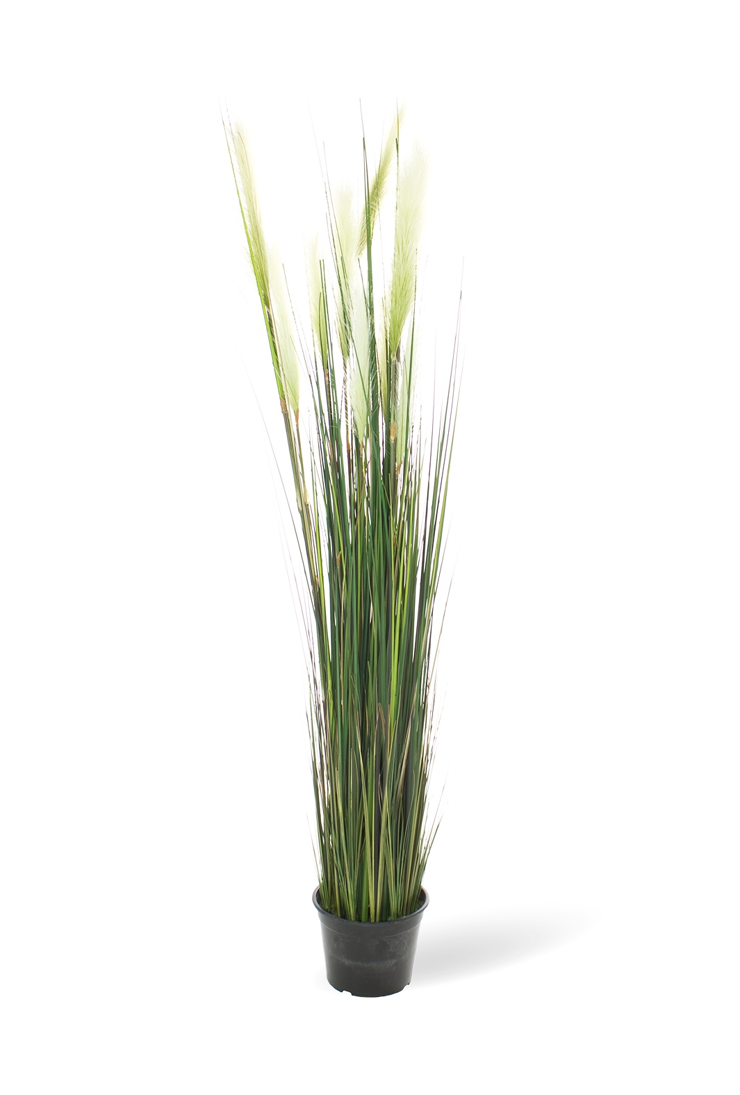 Rohrkolben (typha) Kunstpflanze 152 cm Rohrkolben (typha) Kunstpflanze 152 cm