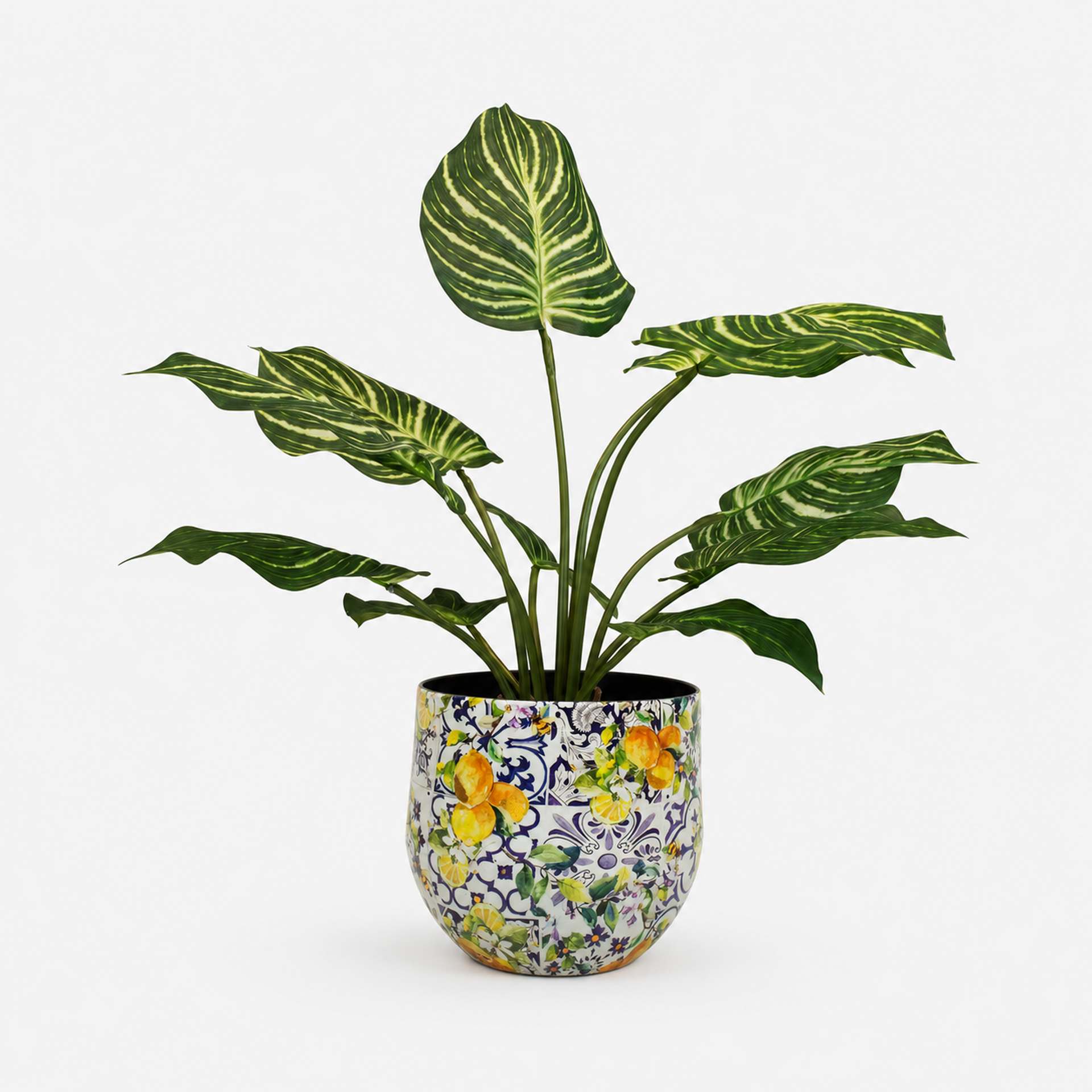 Kunstpflanze mit Topf Calathea 65 cm und Lemon Fusion Gefäß Kunstpflanze mit Topf Calathea 65 cm und Lemon Fusion Gefäß