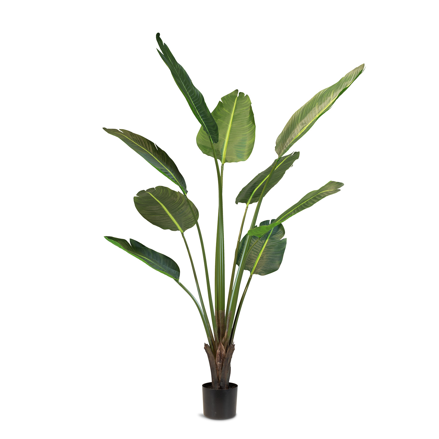 Strelitzie (Baumstrelitzie) Kunstpflanze 160 cm Strelitzie (Baumstrelitzie) Kunstpflanze 160 cm