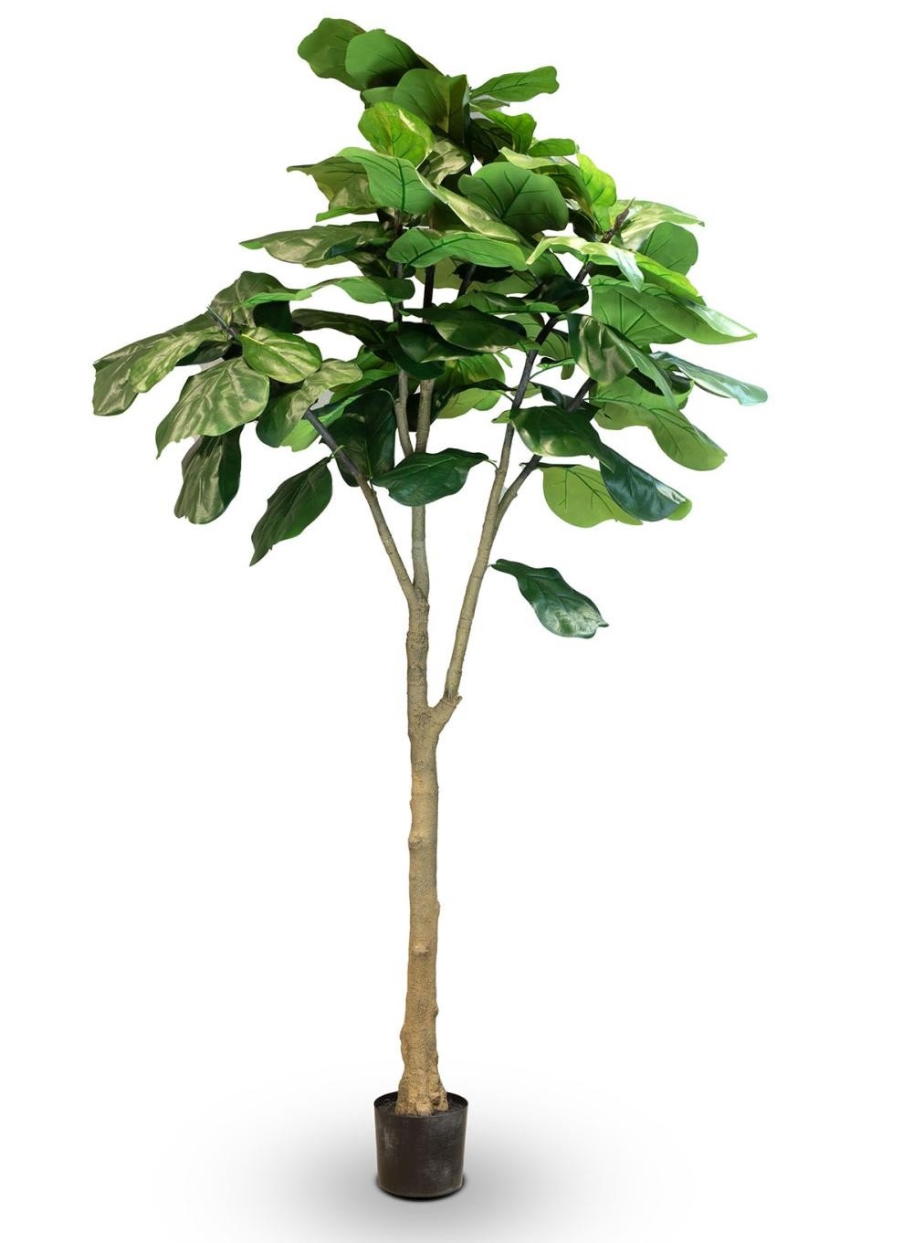 Geigenfeige - Ficus lyrata Kunstpflanze, UV Stabil, Höhe 240 cm Geigenfeige - Ficus lyrata Kunstpflanze, UV Stabil, Höhe 240 cm