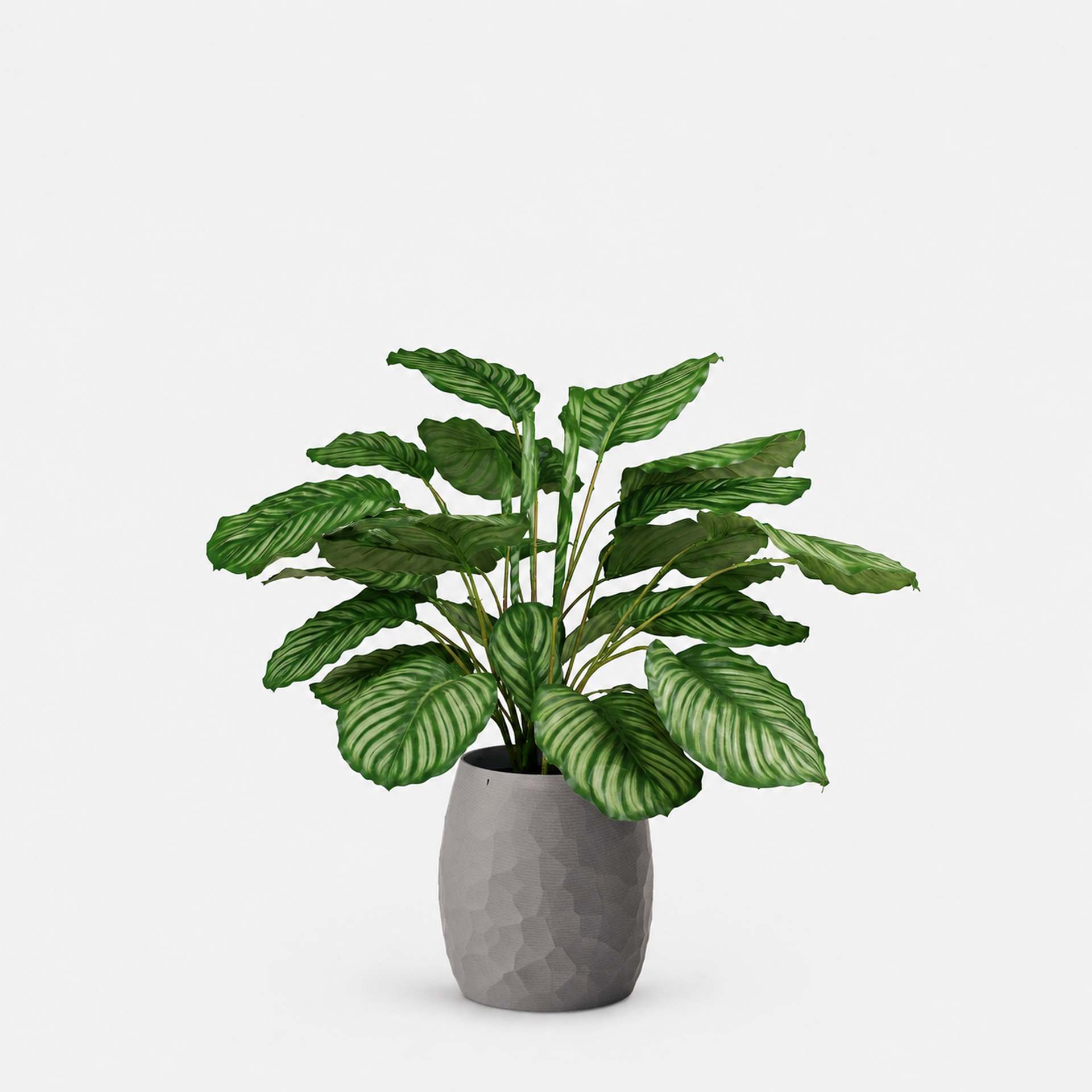 Kunstpflanze mit Topf Calathea 90 cm Organic 3D Stone Grey