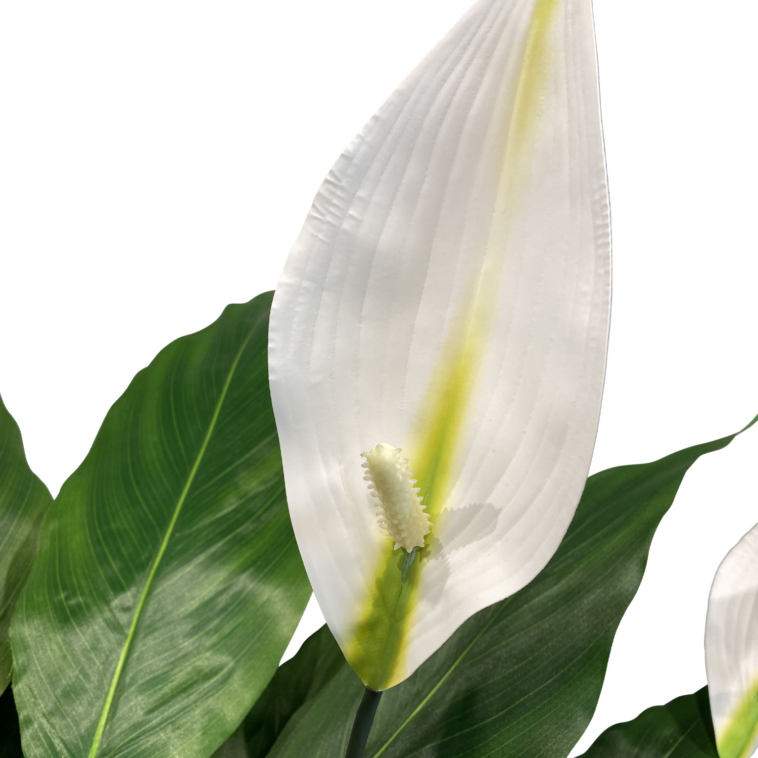 Fleur Ami Spathiphyllum - Einblatt Kunstpflanze, UV Stabil
