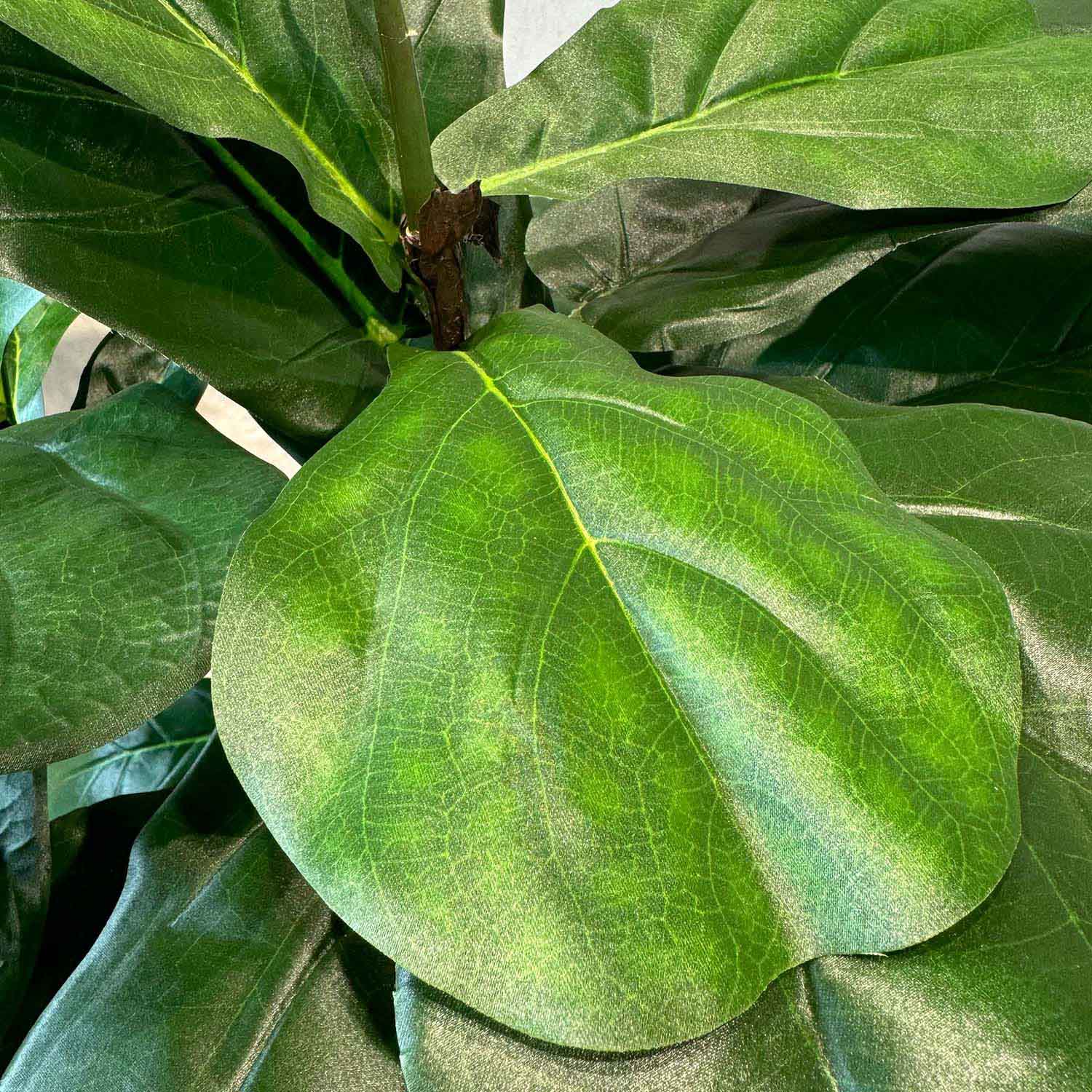 Kunstpflanze mit Topf Ficus Lyrata mit Solco Topf 180cm Weiß