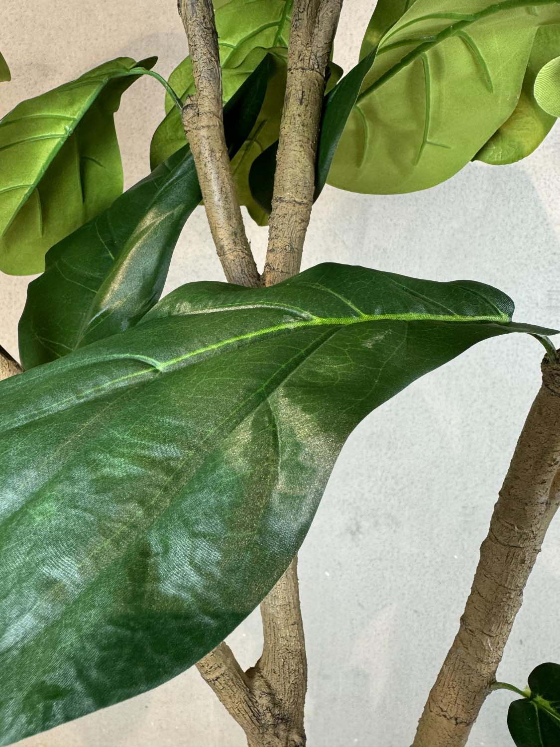 Kunstpflanze mit Topf Ficus Lyrata 240 cm mit Royal Bodengefäß Kunstpflanze mit Topf Ficus Lyrata 240 cm mit Royal Bodengefäß