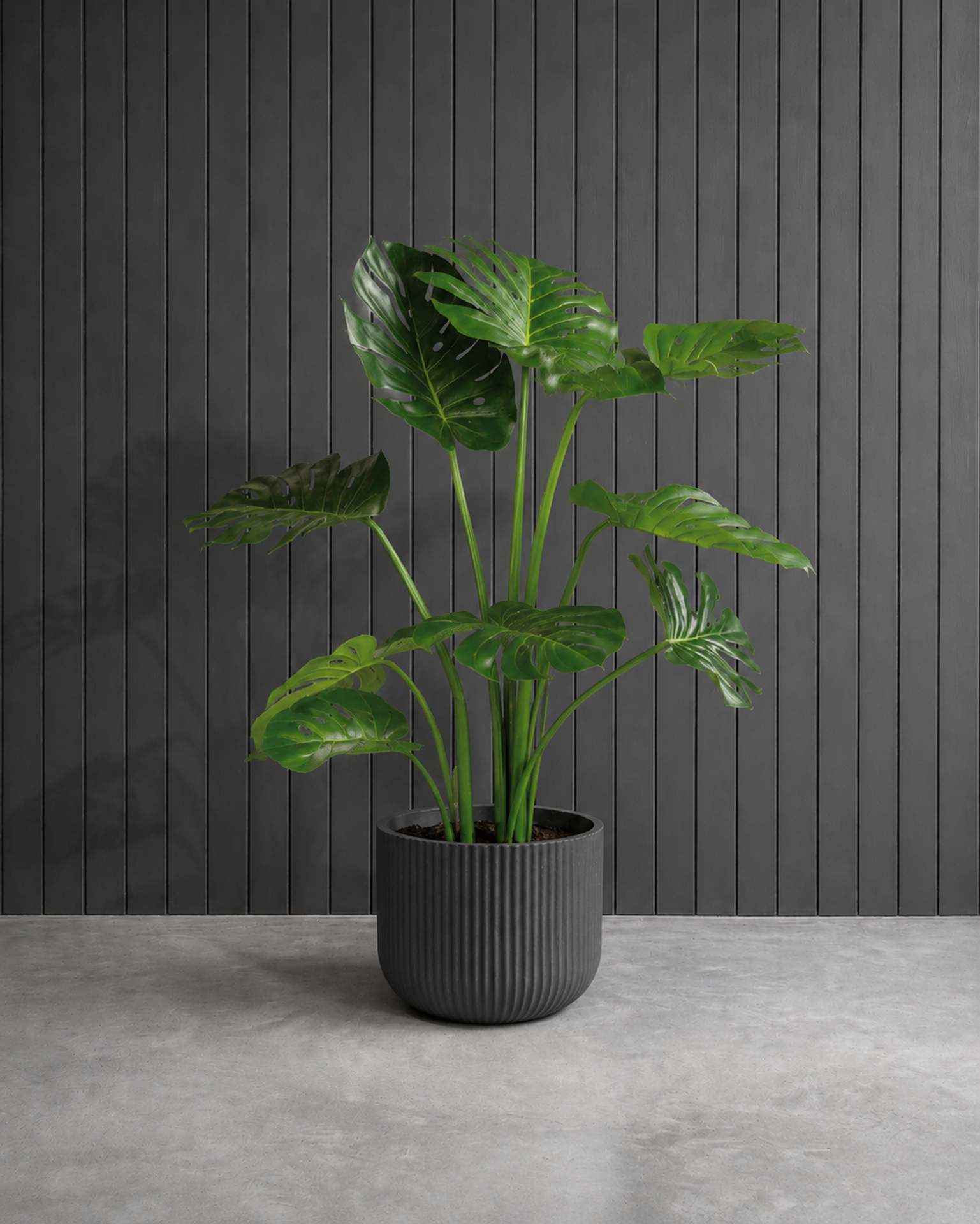 Kunstpflanze mit Topf Monstera Deliciosa mit Linea Gefäß 110 cm Anthrazit