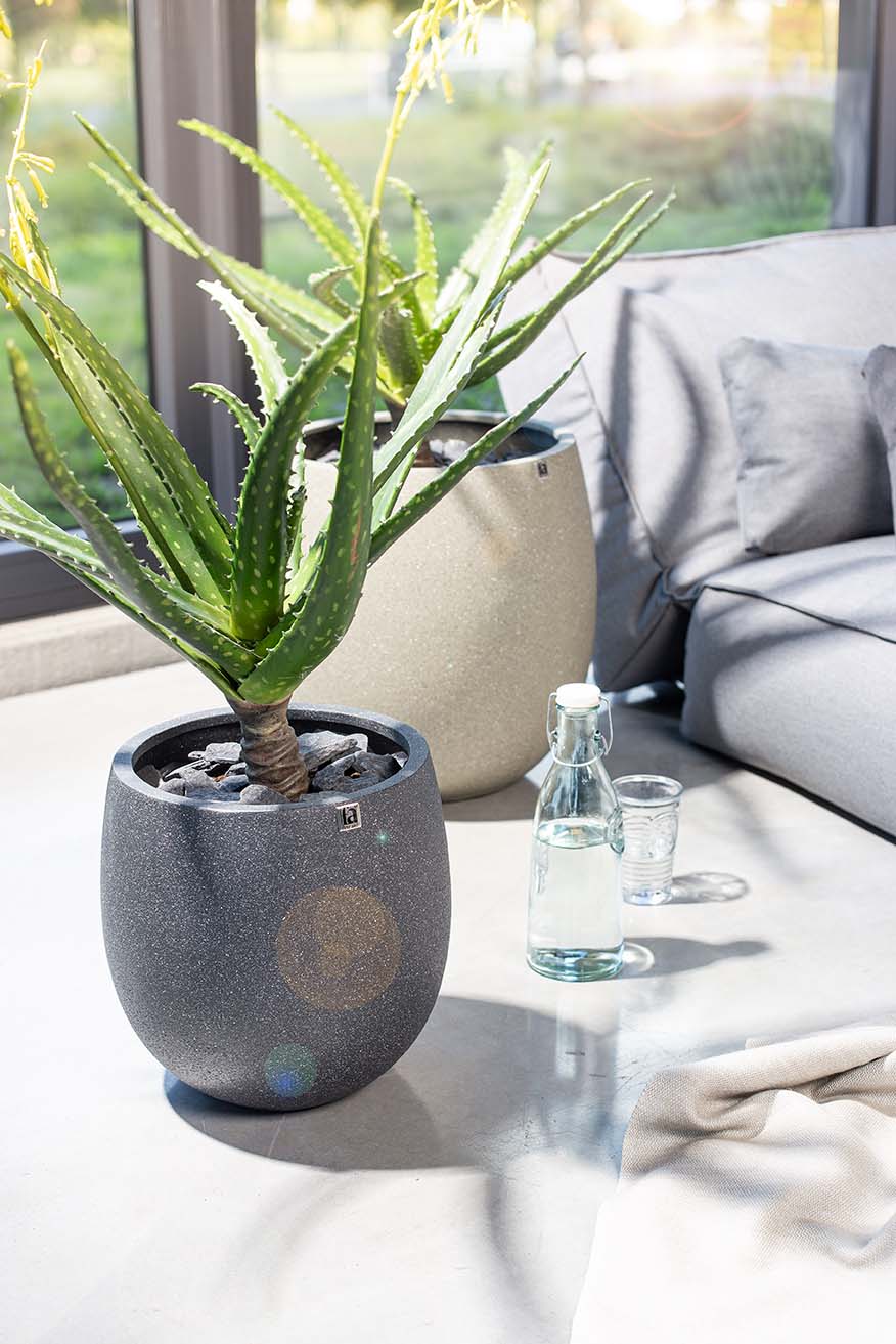 Blühende Aloe Kunstpflanze Blühende Aloe Kunstpflanze