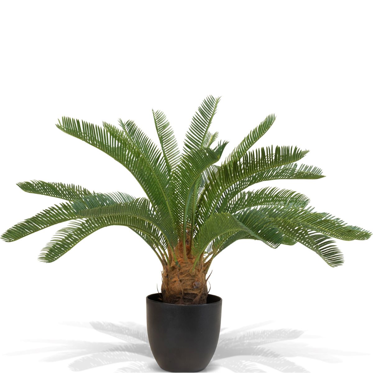 Japanischer Sagopalmfarn - cycas revoluta Kunstpflanze, 64 cm Japanischer Sagopalmfarn - cycas revoluta Kunstpflanze, 64 cm