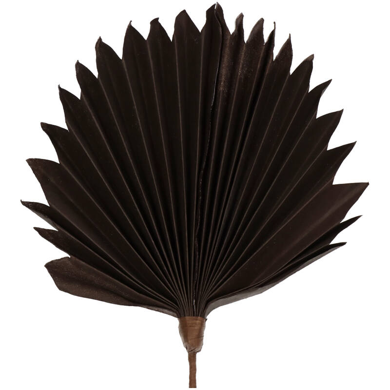 Palmblatt Dekozweig Braun – Naturinspirierte Deko 55 cm