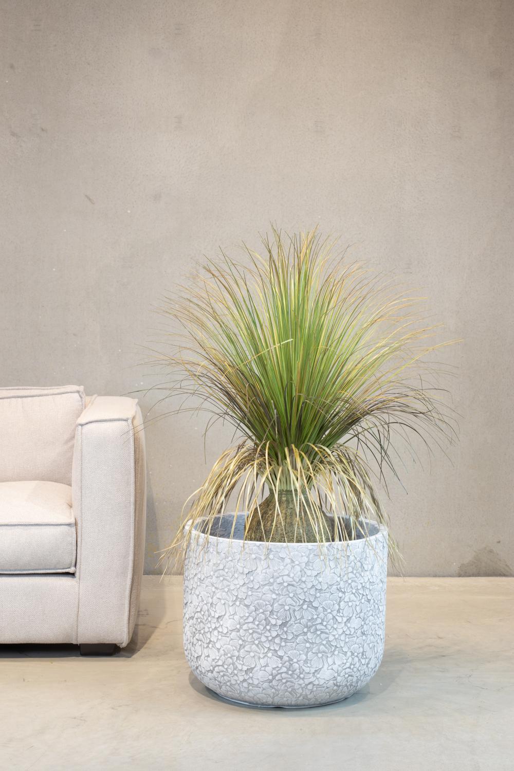 Gras - Calibanus hookeri - Kunstpflanze Gras - Calibanus hookeri - Kunstpflanze