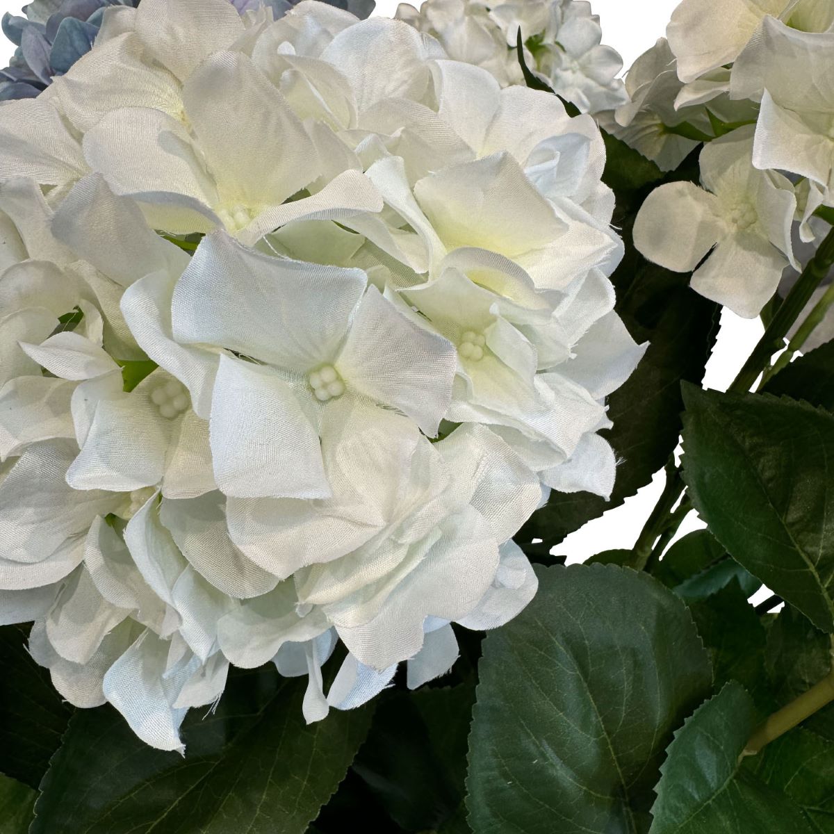Hortensie - Hydrangea Kunstpflanze, 10 Blüten, Höhe 73 cm, weiß-blau