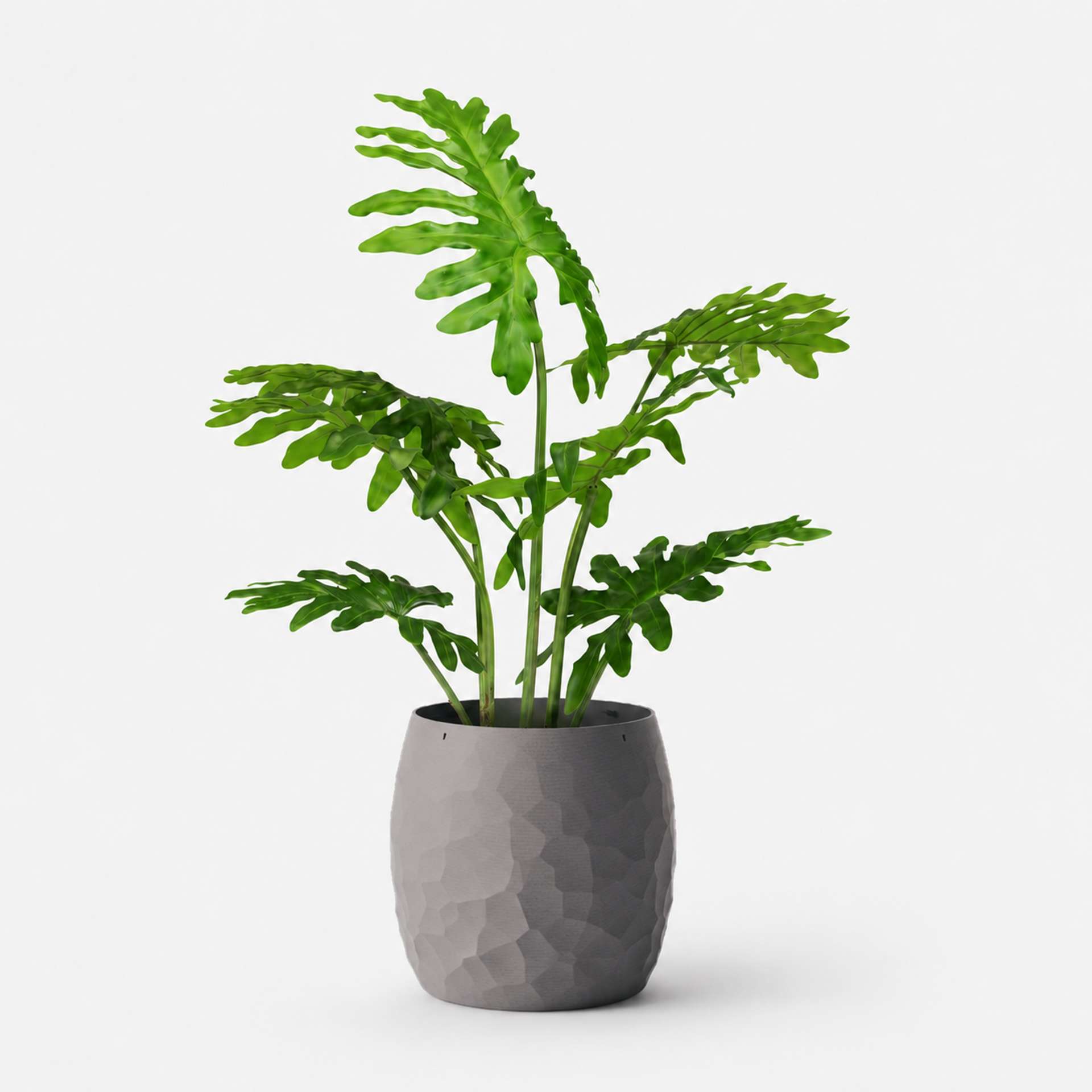 Kunstpflanze mit Topf Baum-Philodendron 85cm mit Organic 3D Topf Stone Grey Kunstpflanze mit Topf Baum-Philodendron 85cm mit Organic 3D Topf Stone Grey